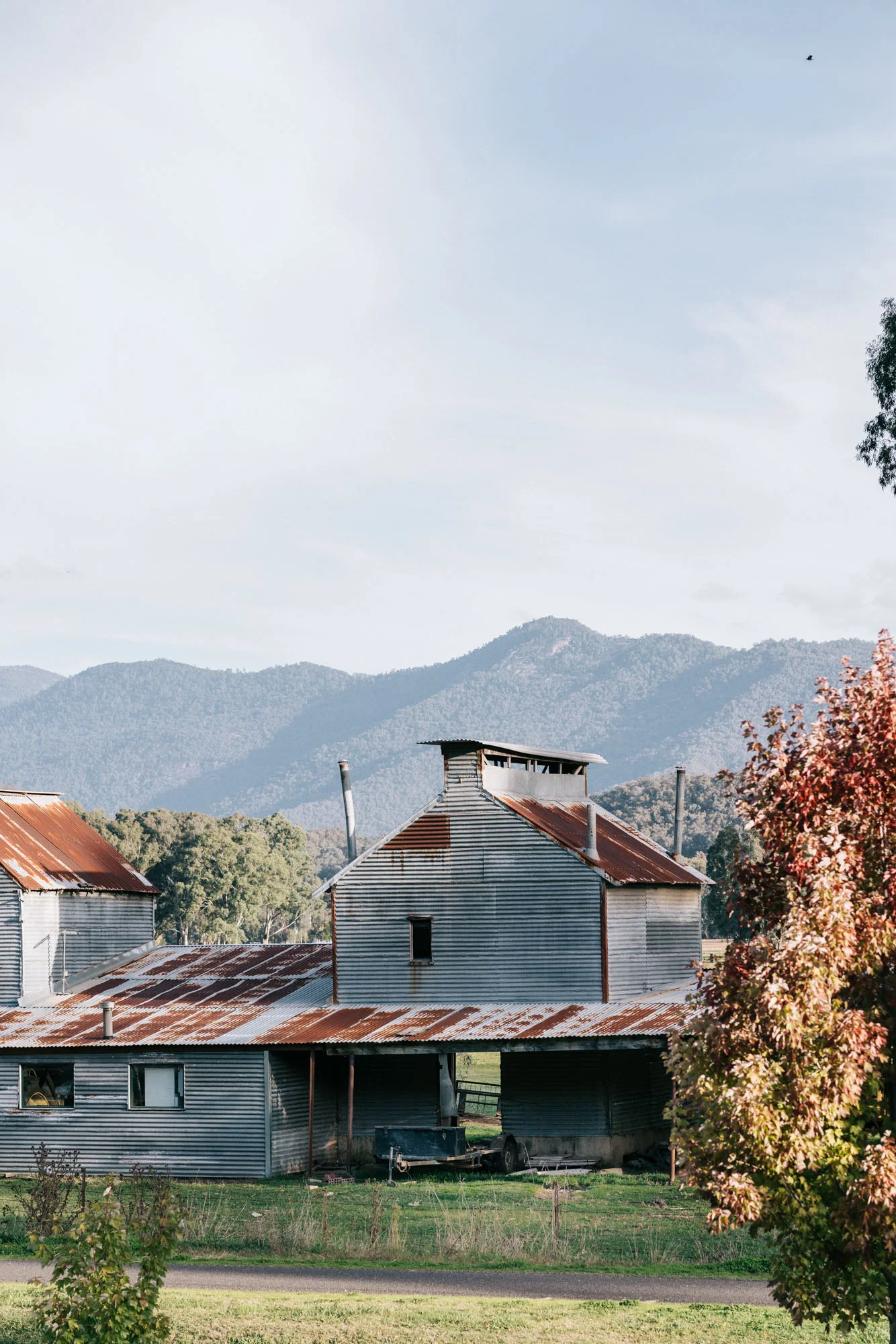 On the Move_Myrtleford_PROOFS-82.jpg