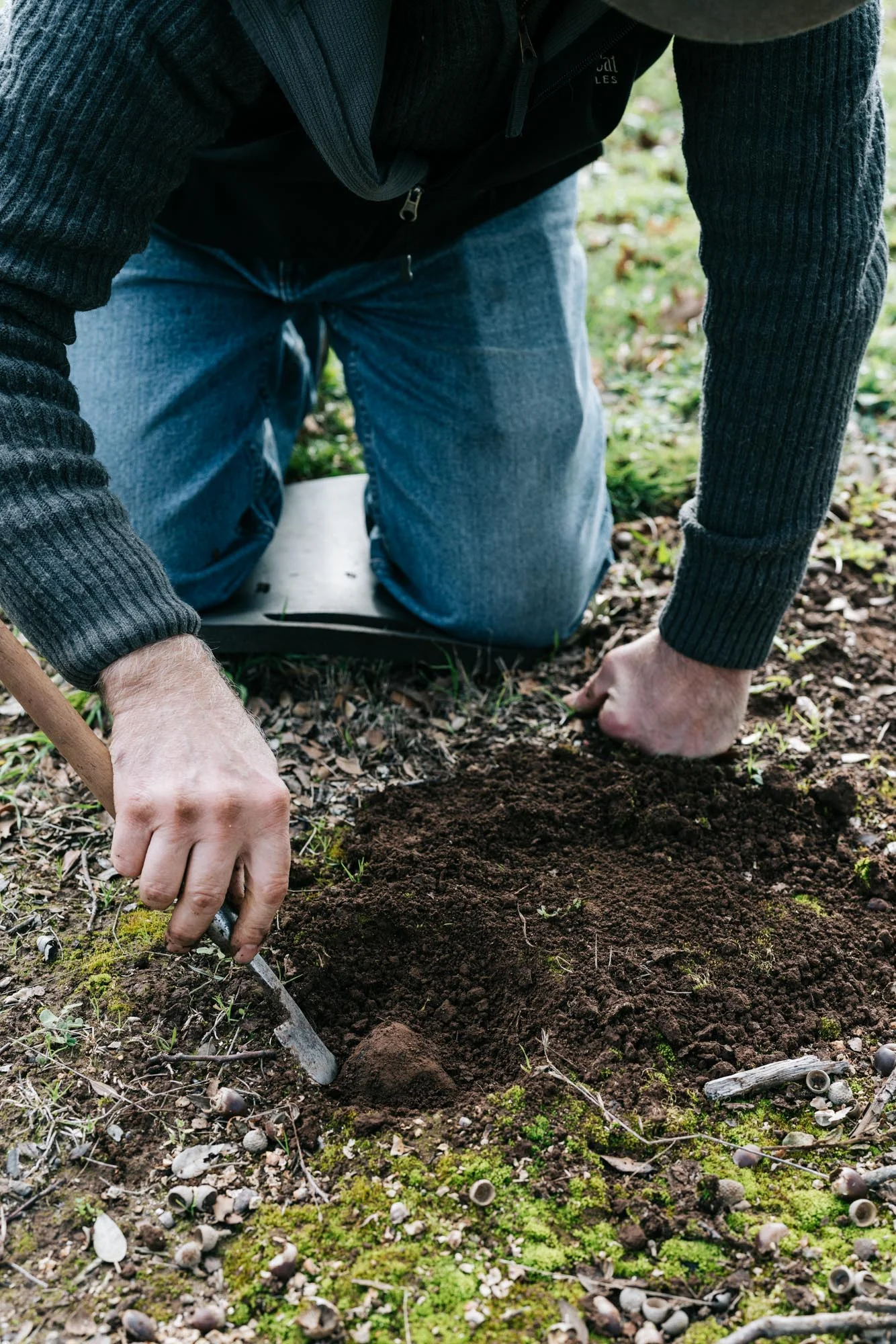 Hunting for truffles in Victoria's Central Highlands for Airbnb , photography by Marnie Hawson.