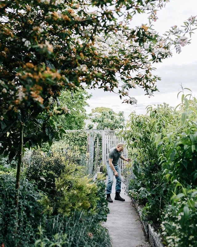 My green thumb cousin @benshawpermaculture has transformed his backyard garden over the years into an edible oasis, and his story was up on @thedesignfiles last week (link in bio).
-
He's packing up and travelling around Australia next year, and is happy to exchange permaculture advice for a place to park his camper, a meal, a bottle of wine, or cold hard cash - send him a DM if you're interested in finding out more. Doesn't matter how remote you are, he's adventurous and willing to travel...