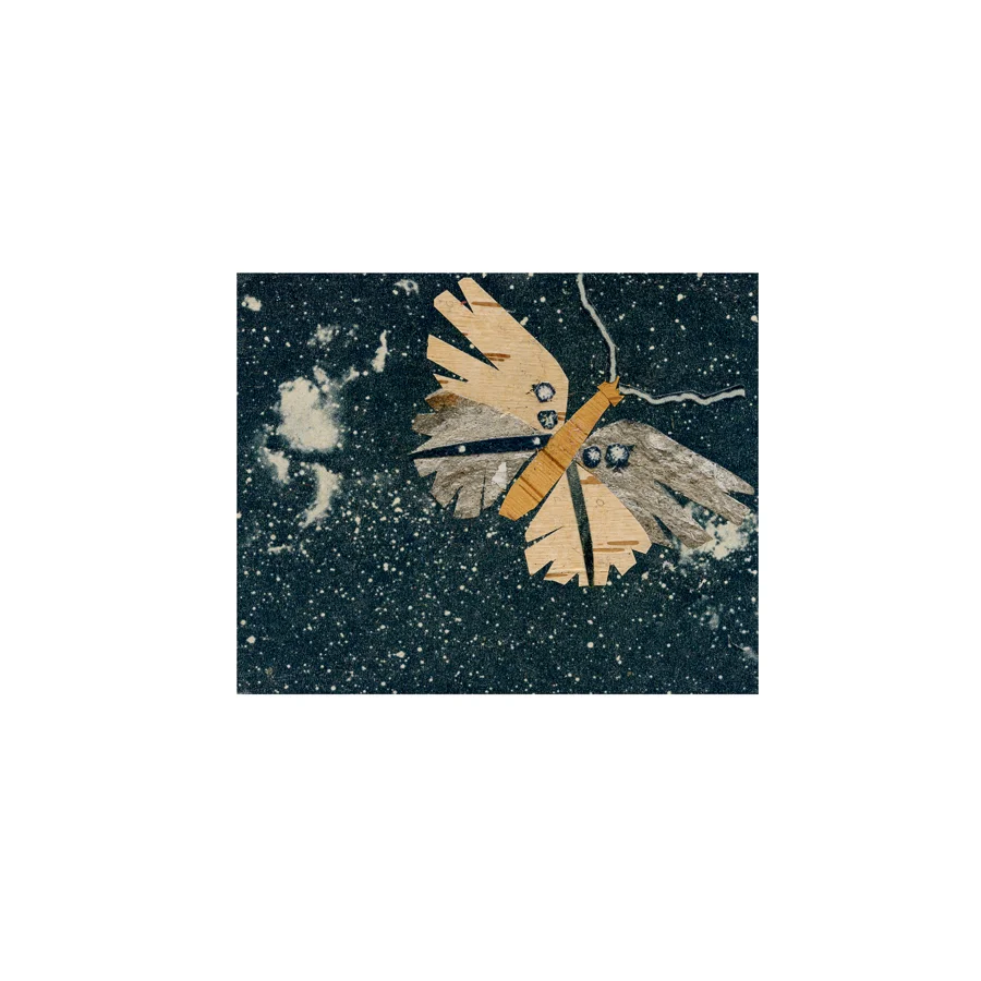 butterfly.jpg