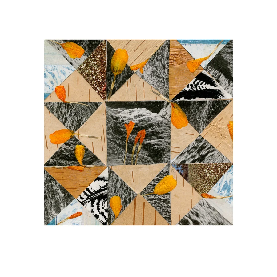 petalgrid.jpg