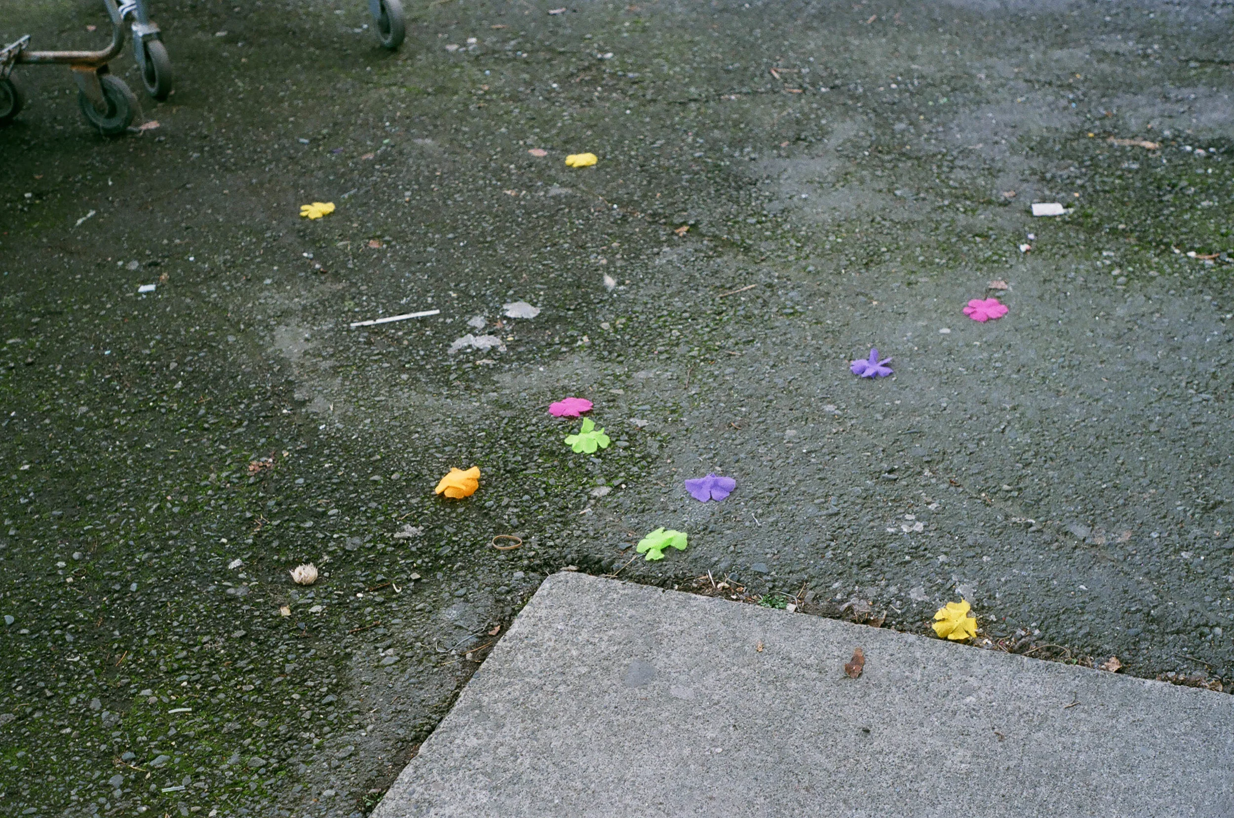 parking lot flowers-1.jpg