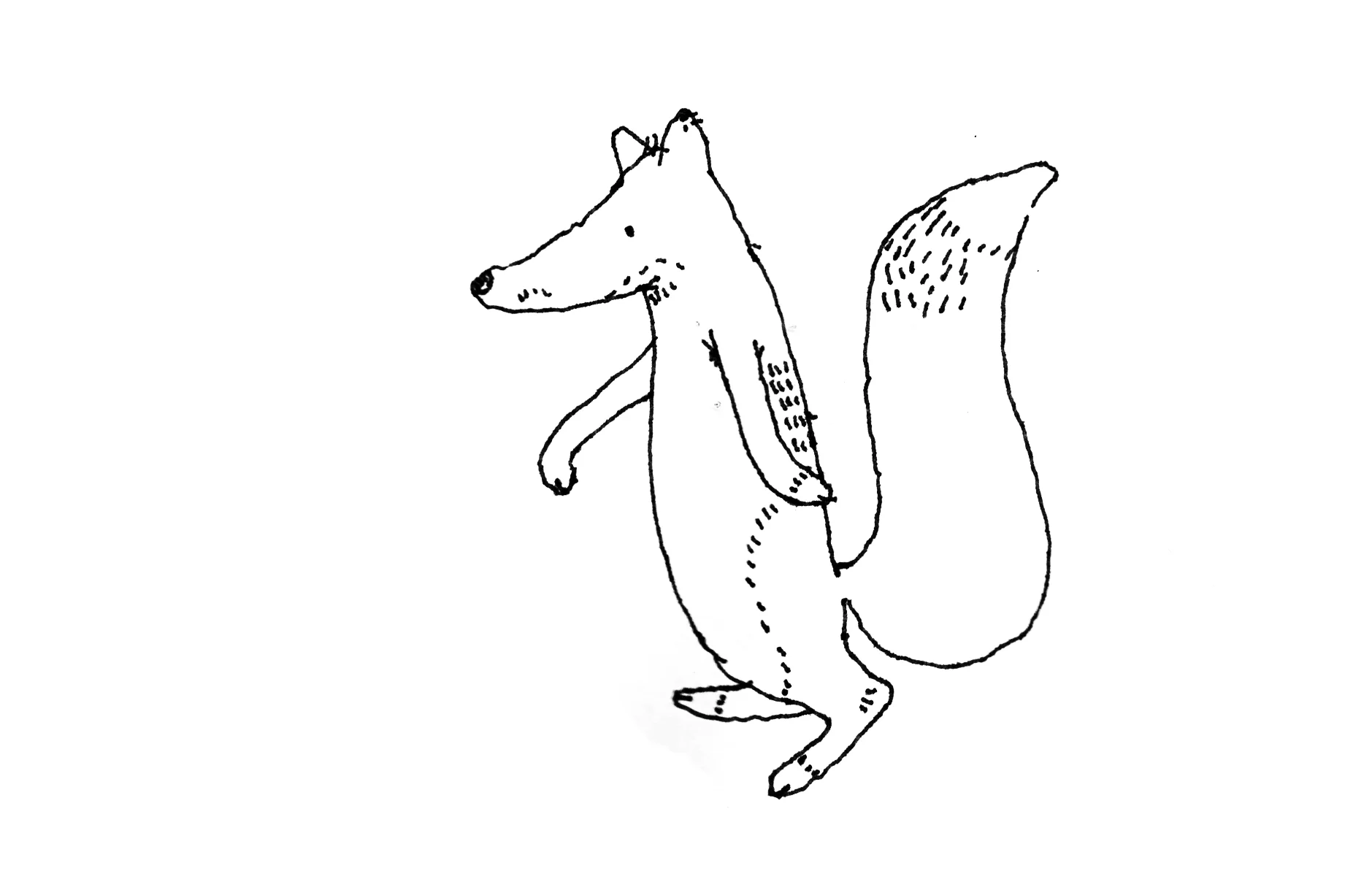 fox_colorcrop.jpg