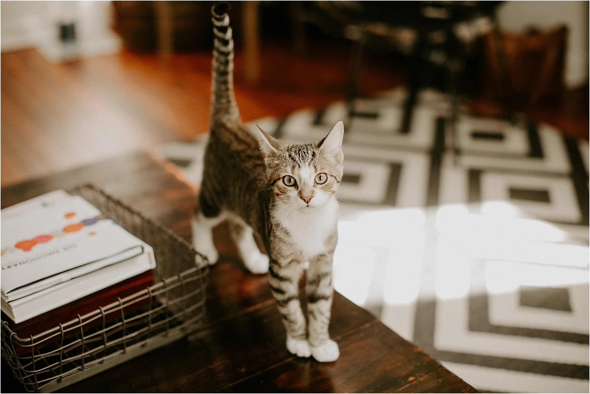 Sarah_Brookhart_Philadelphia_Inhome_Photographer_0009.jpg