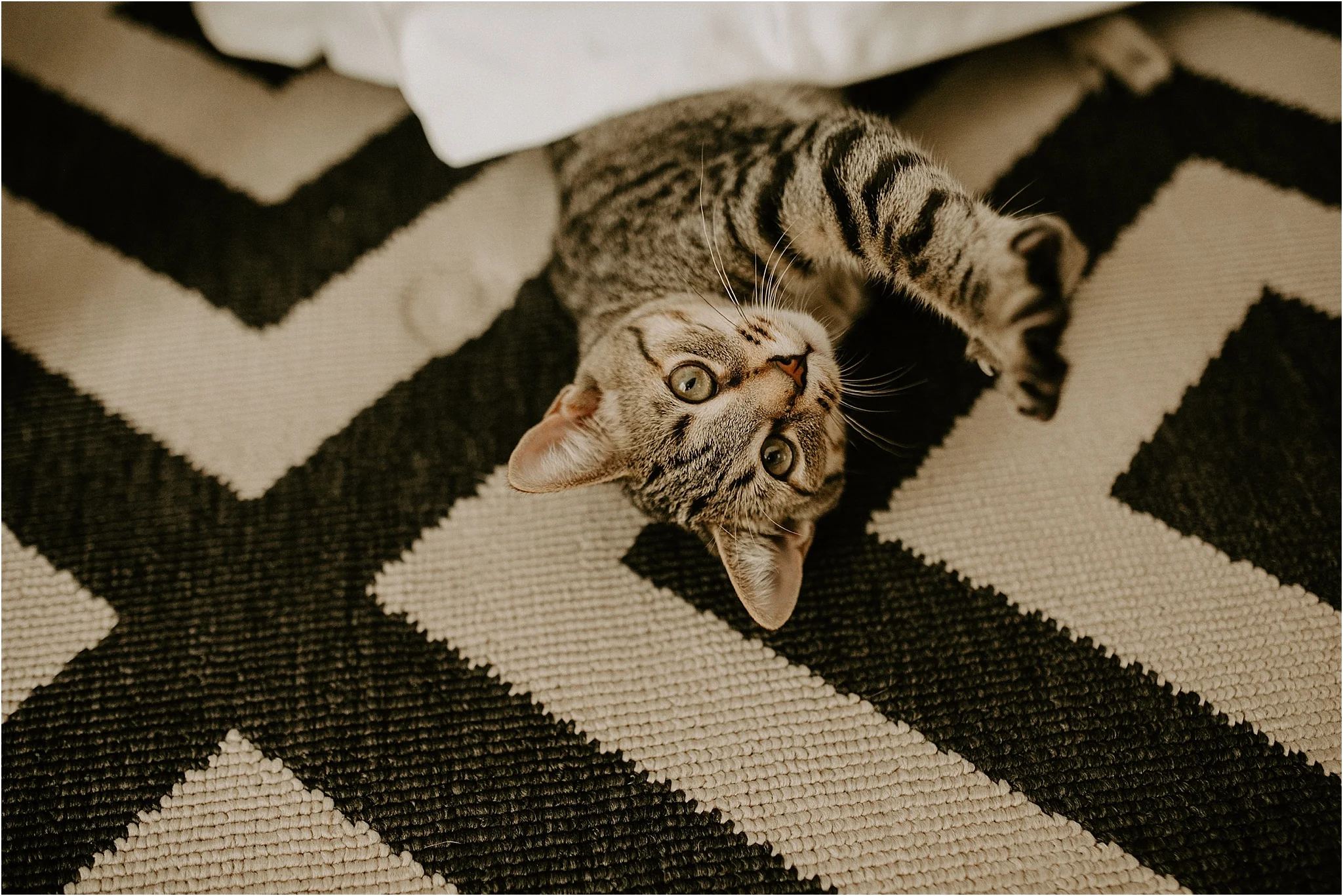 Sarah_Brookhart_Philadelphia_Inhome_Photographer_0017.jpg