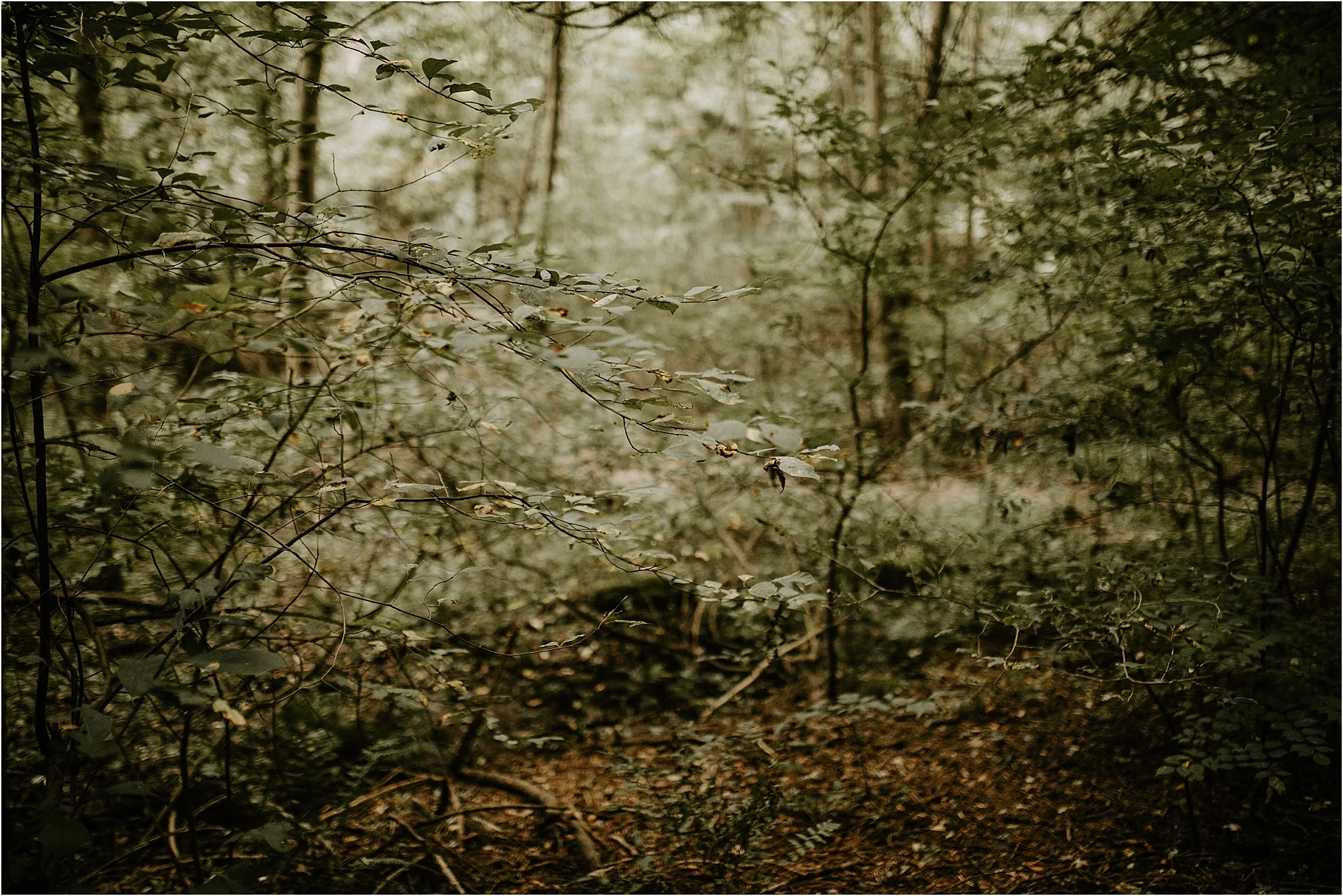 Sarah_Brookhart_Lancaster_PA_Lifestyle_Photographer_0029.jpg