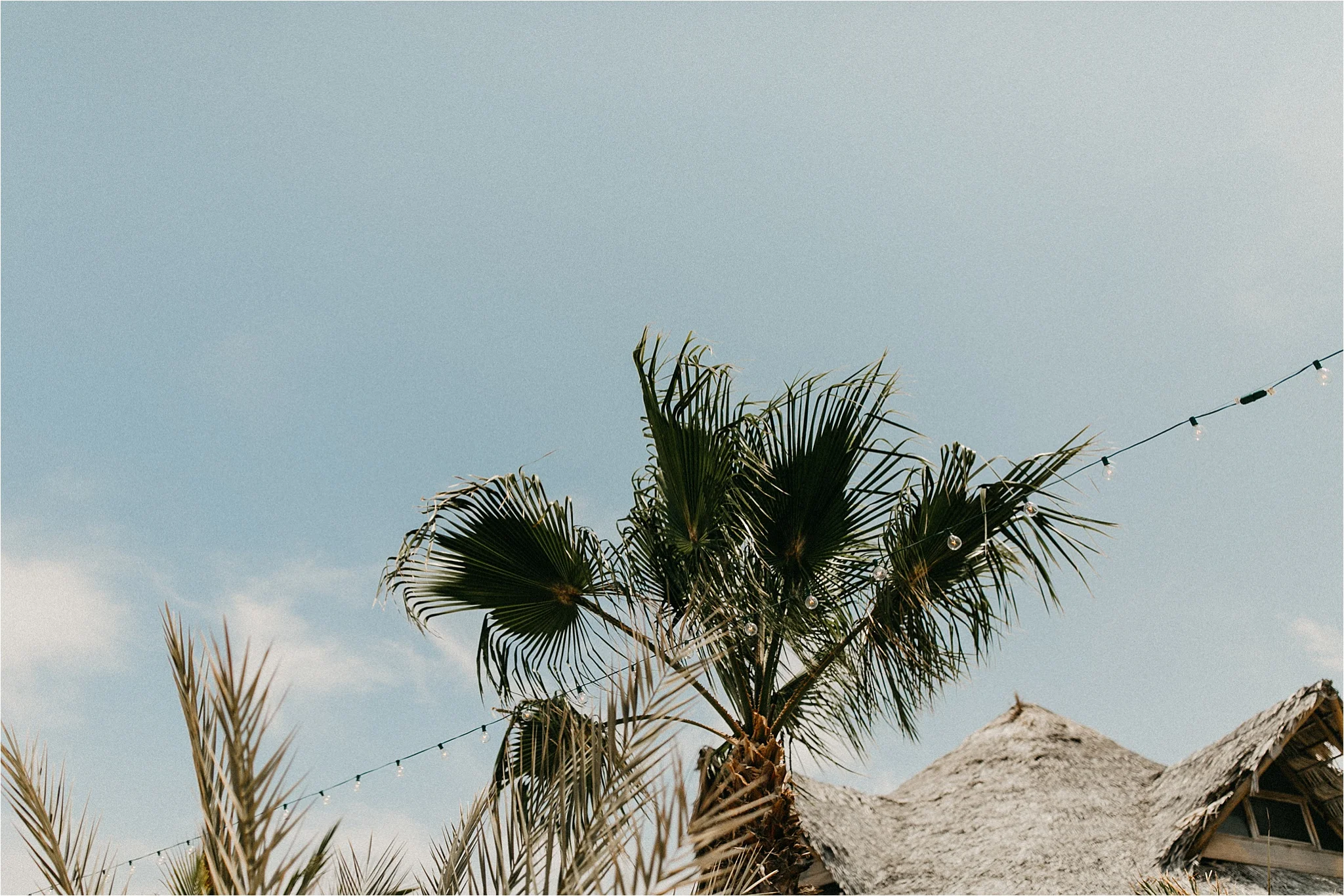 Athena_+_Brandon_Los_Barriles_Wedding__0002.jpg