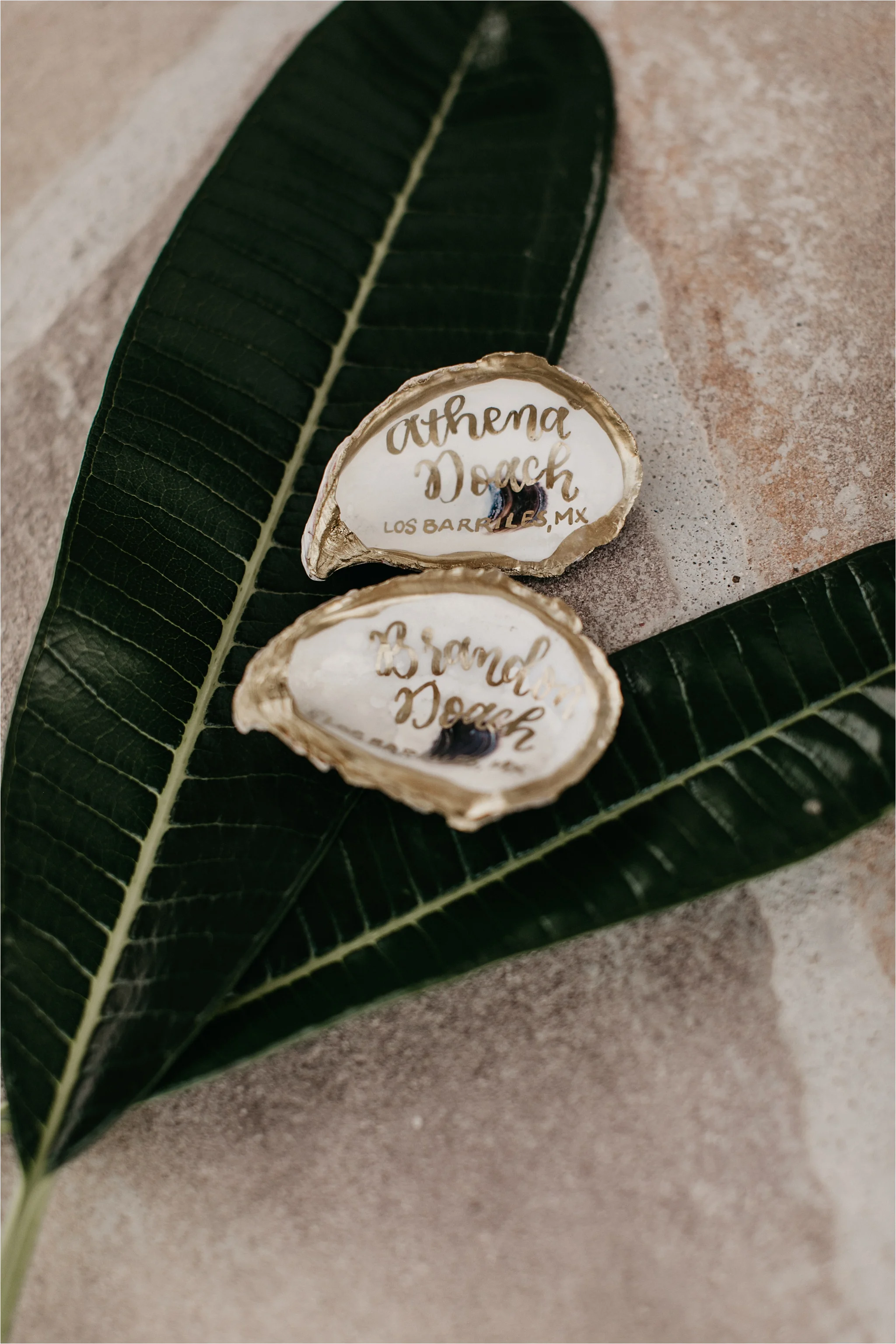 Athena_+_Brandon_Los_Barriles_Wedding__0004.jpg