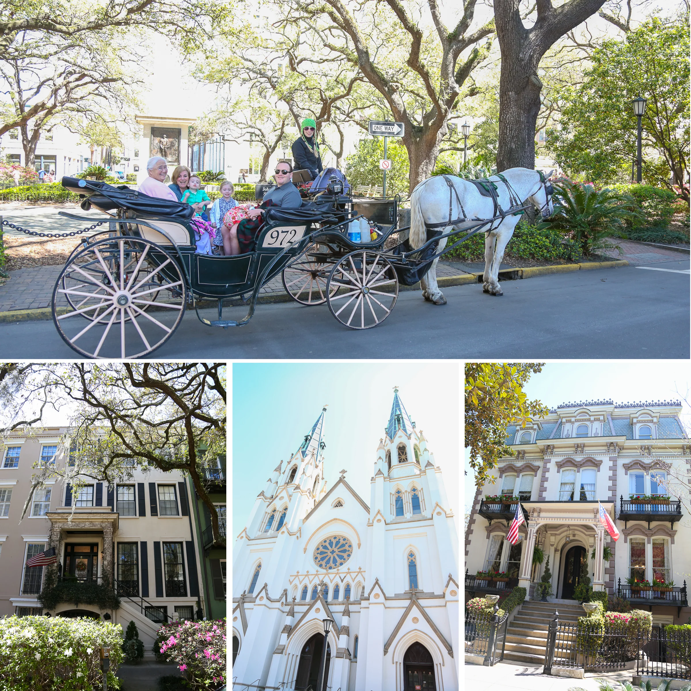 savannah2.jpg