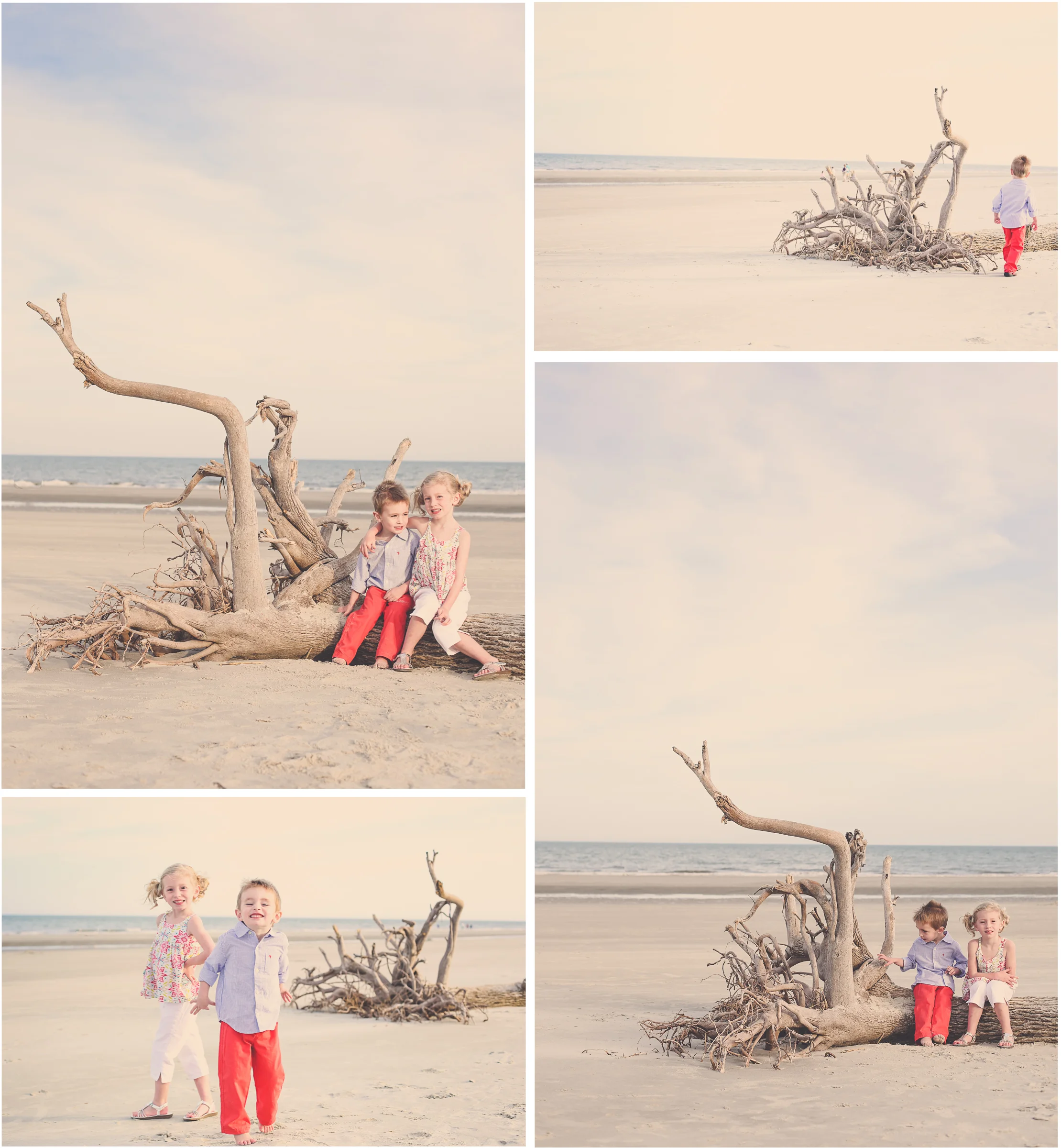 Driftwood1.jpg