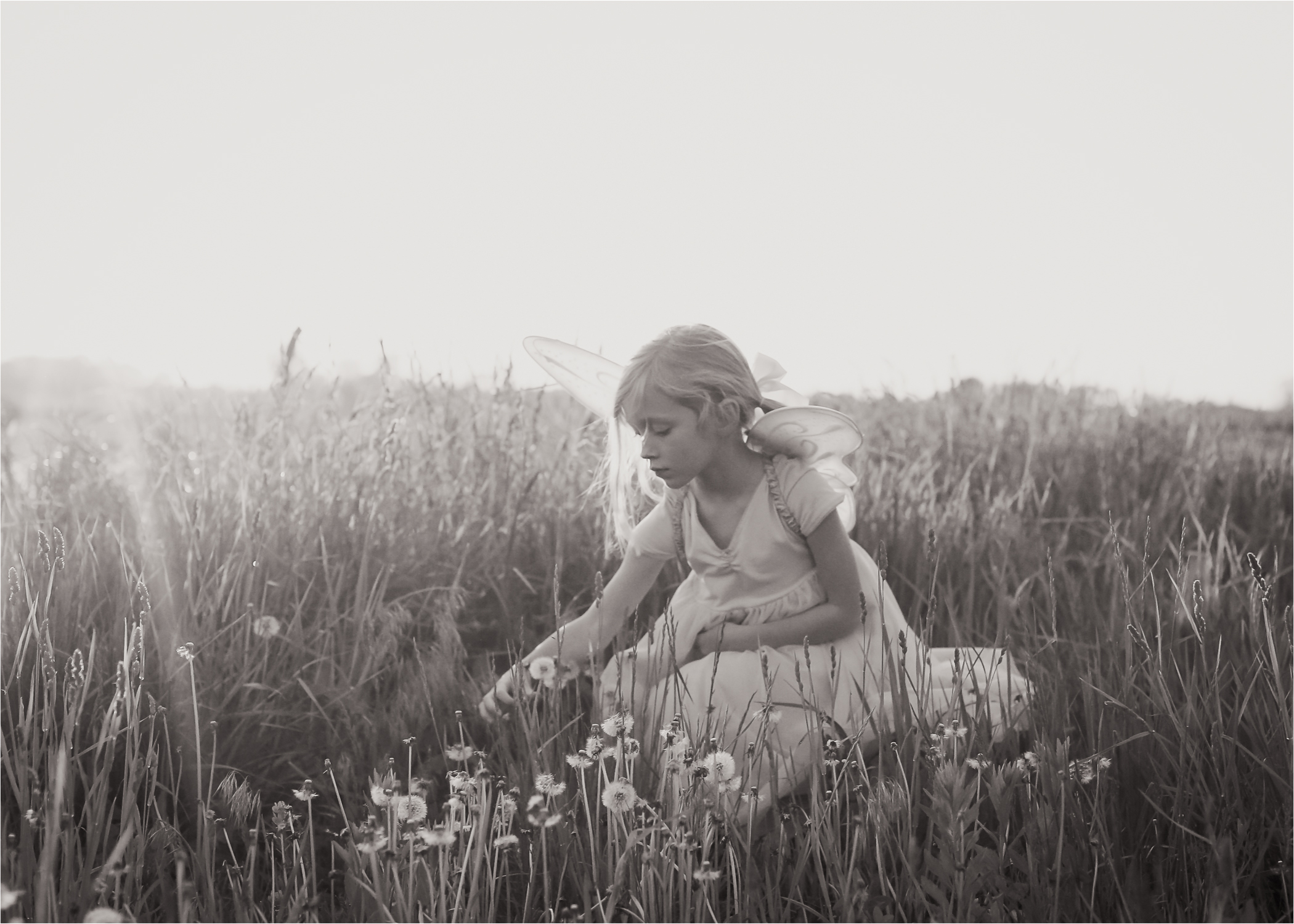 field9.jpg
