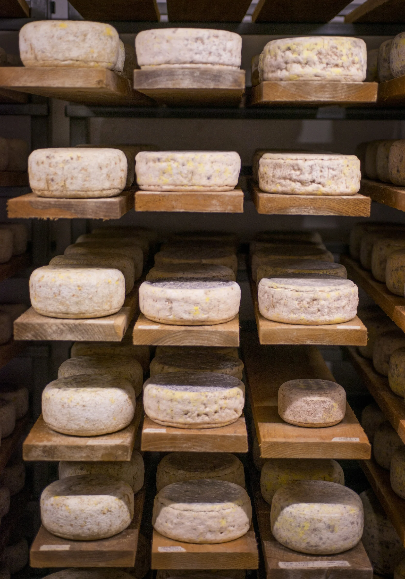 cheese_cave_TOM5235.jpg