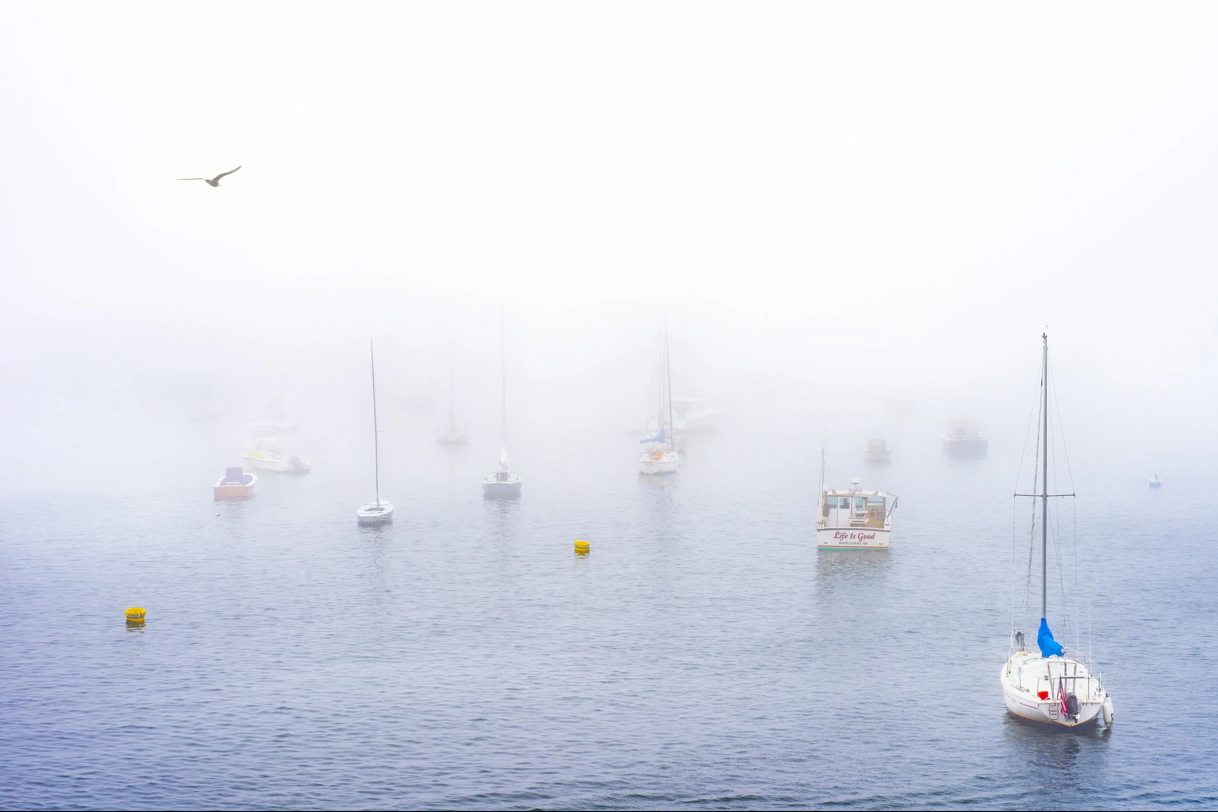 lifeisgoodboat_lg_MV8_2391.jpg