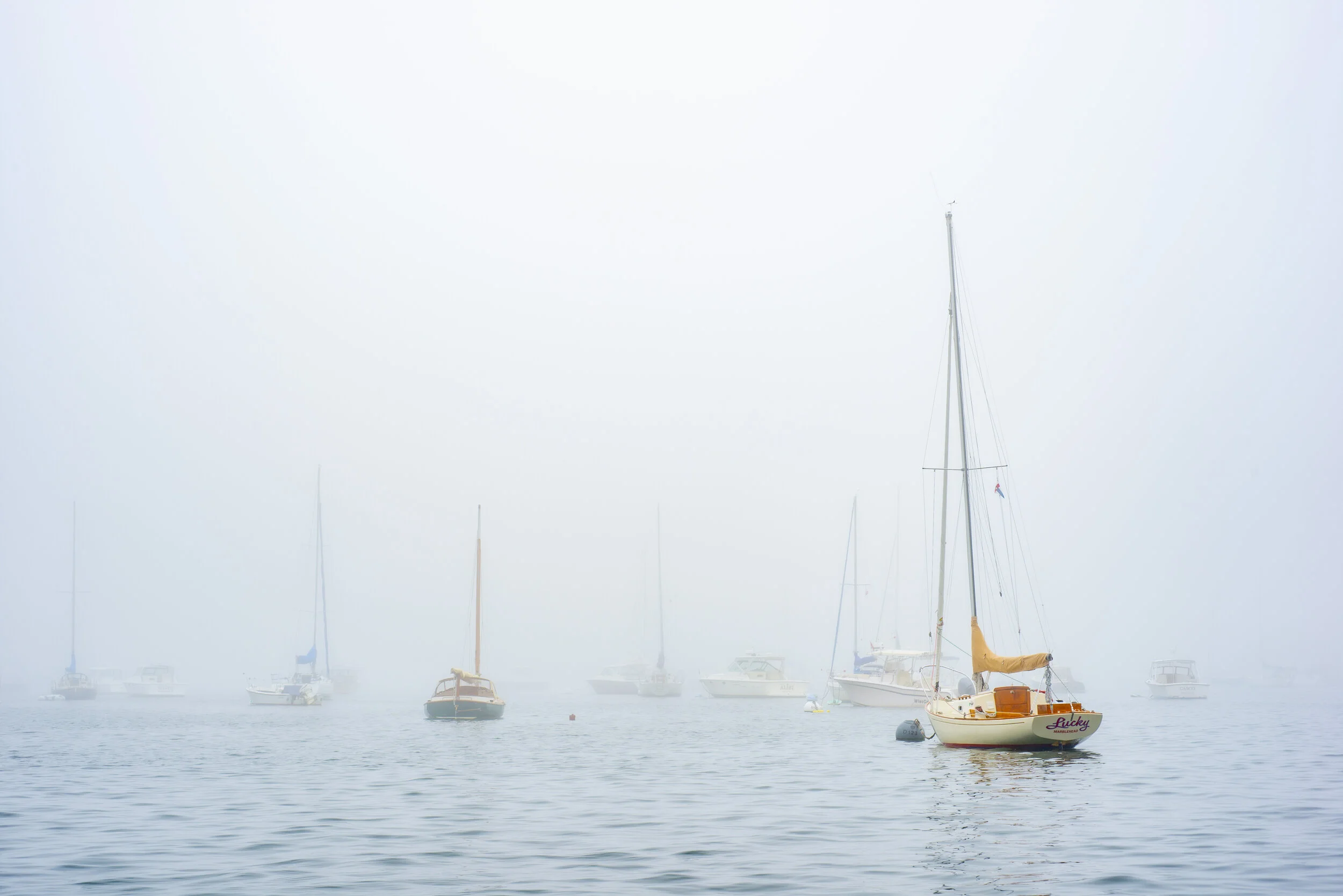 lucky_boat_lg_MV8_2402-2.jpg