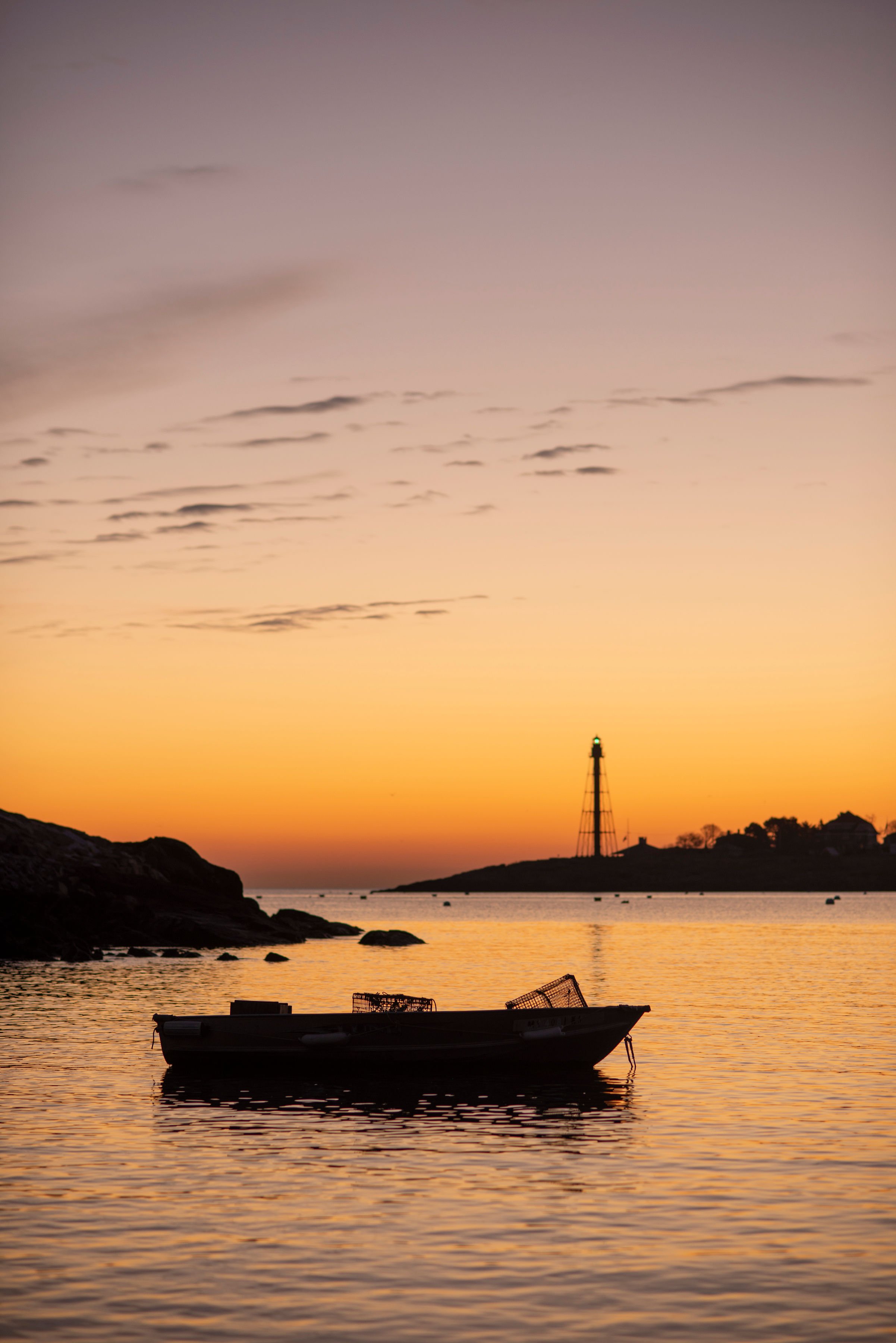 MV8_2317MV8_2317-2.jpg
