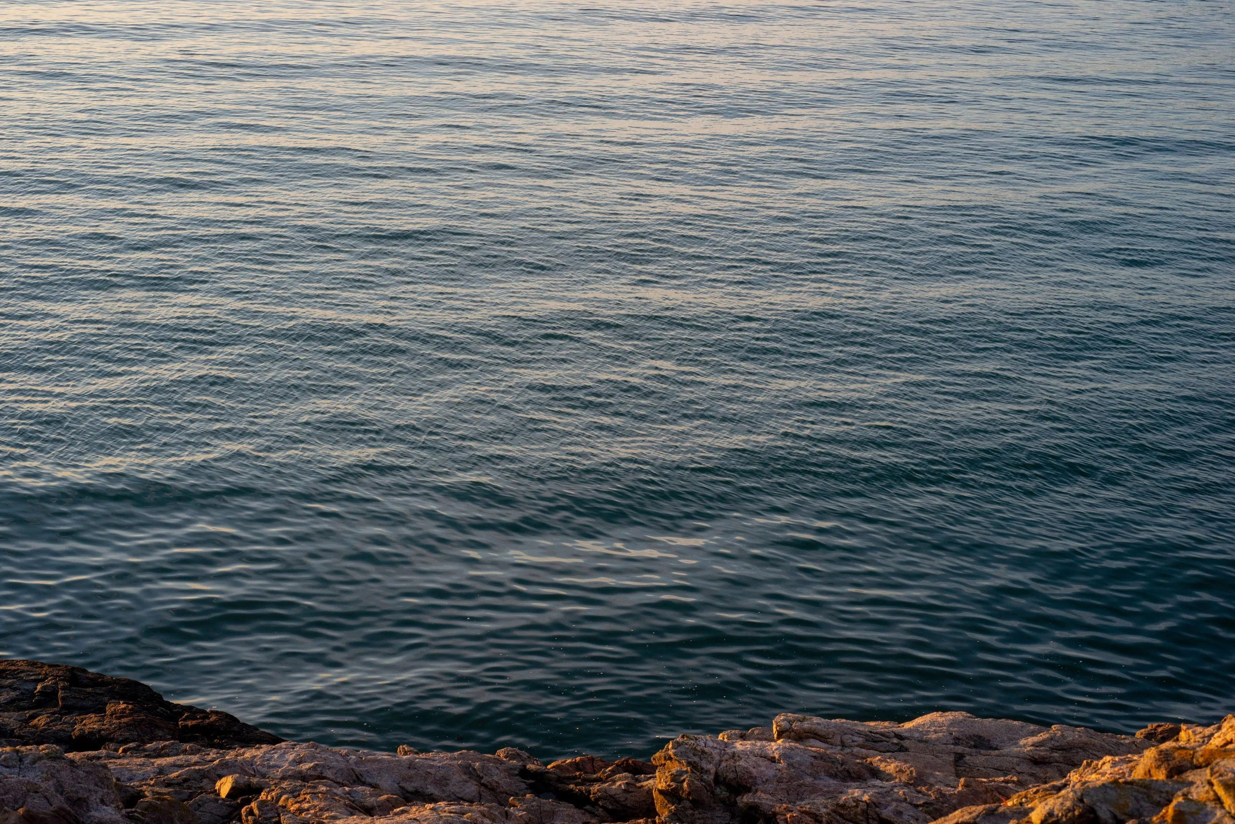 MV8_6591-2.jpg