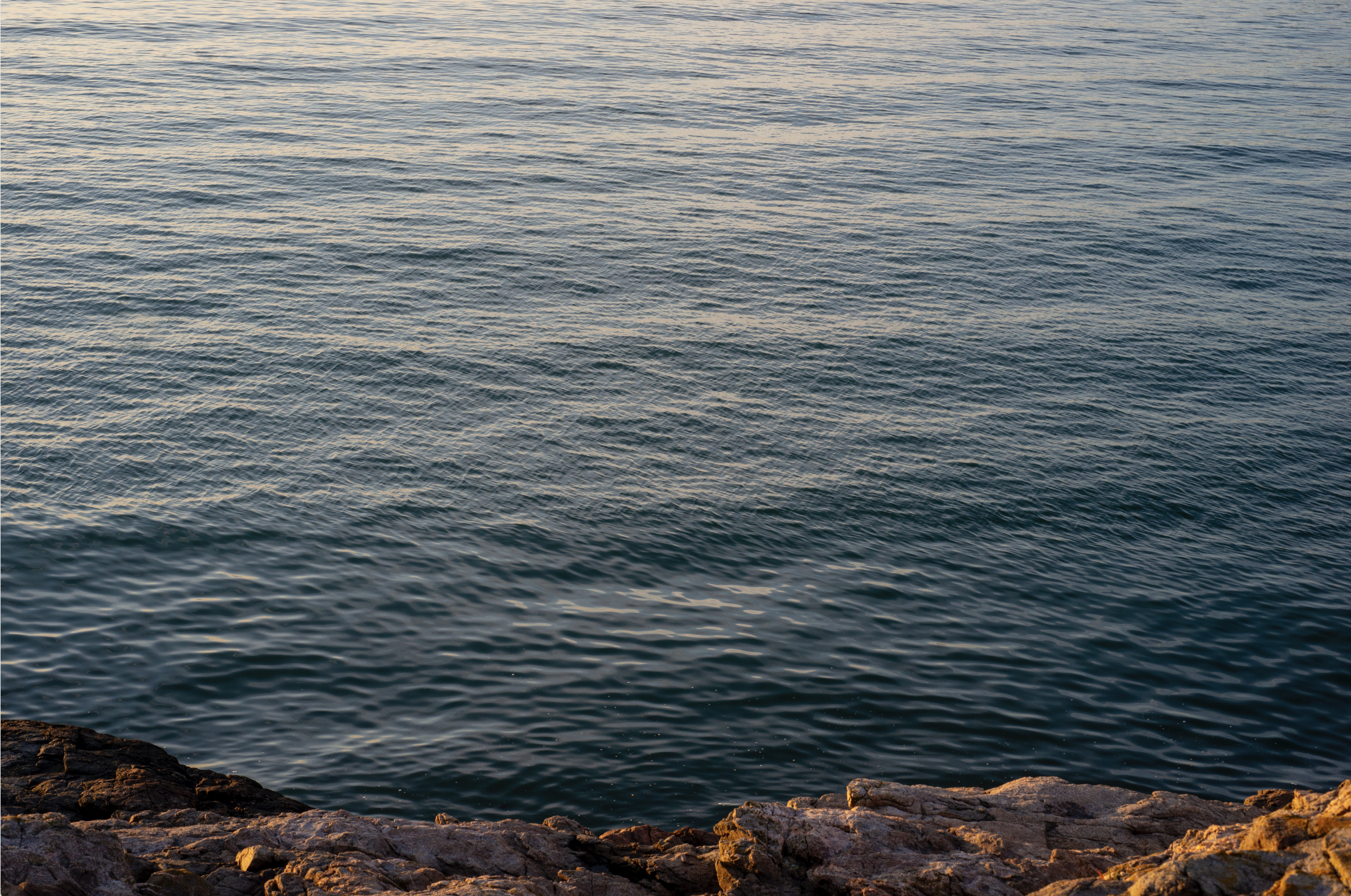 Screenshot 2025-12-18 at 2.52.52 PM.png (Copy)