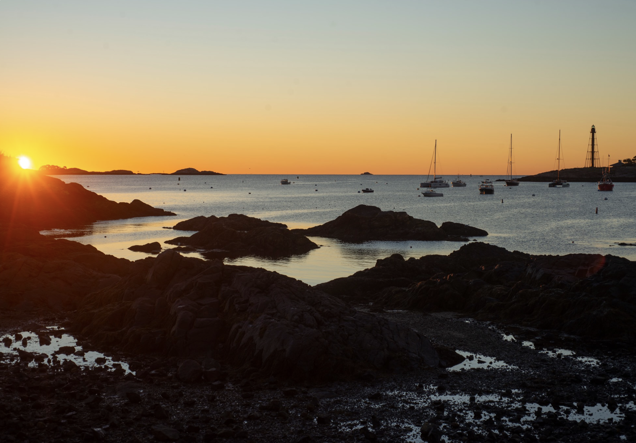 Screenshot 2025-12-18 at 2.53.05 PM.png (Copy)