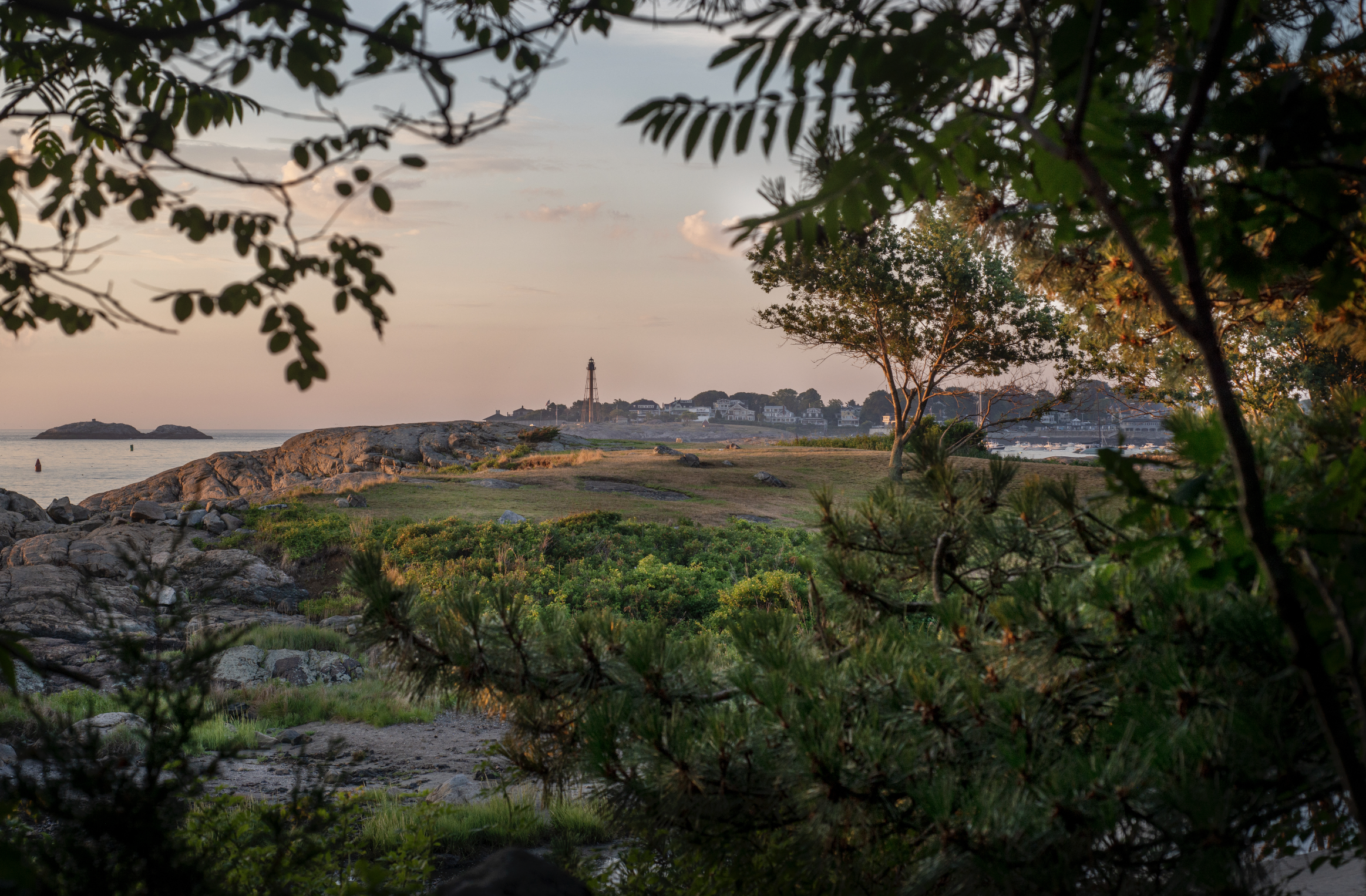 Screenshot 2025-12-18 at 2.53.15 PM.png (Copy)