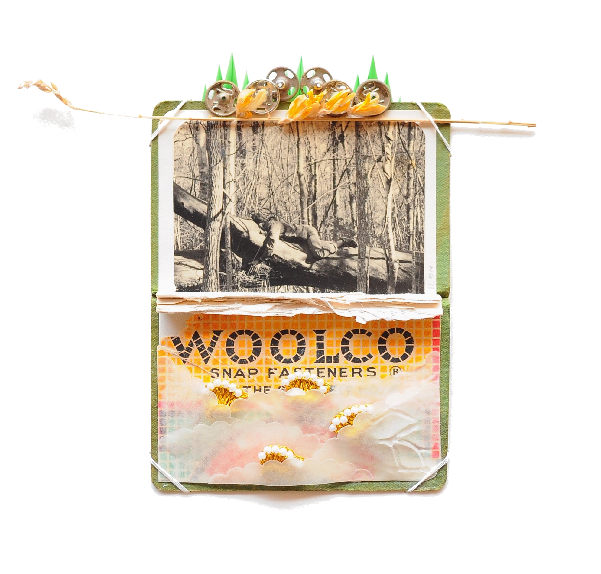 Woolco, 2013
