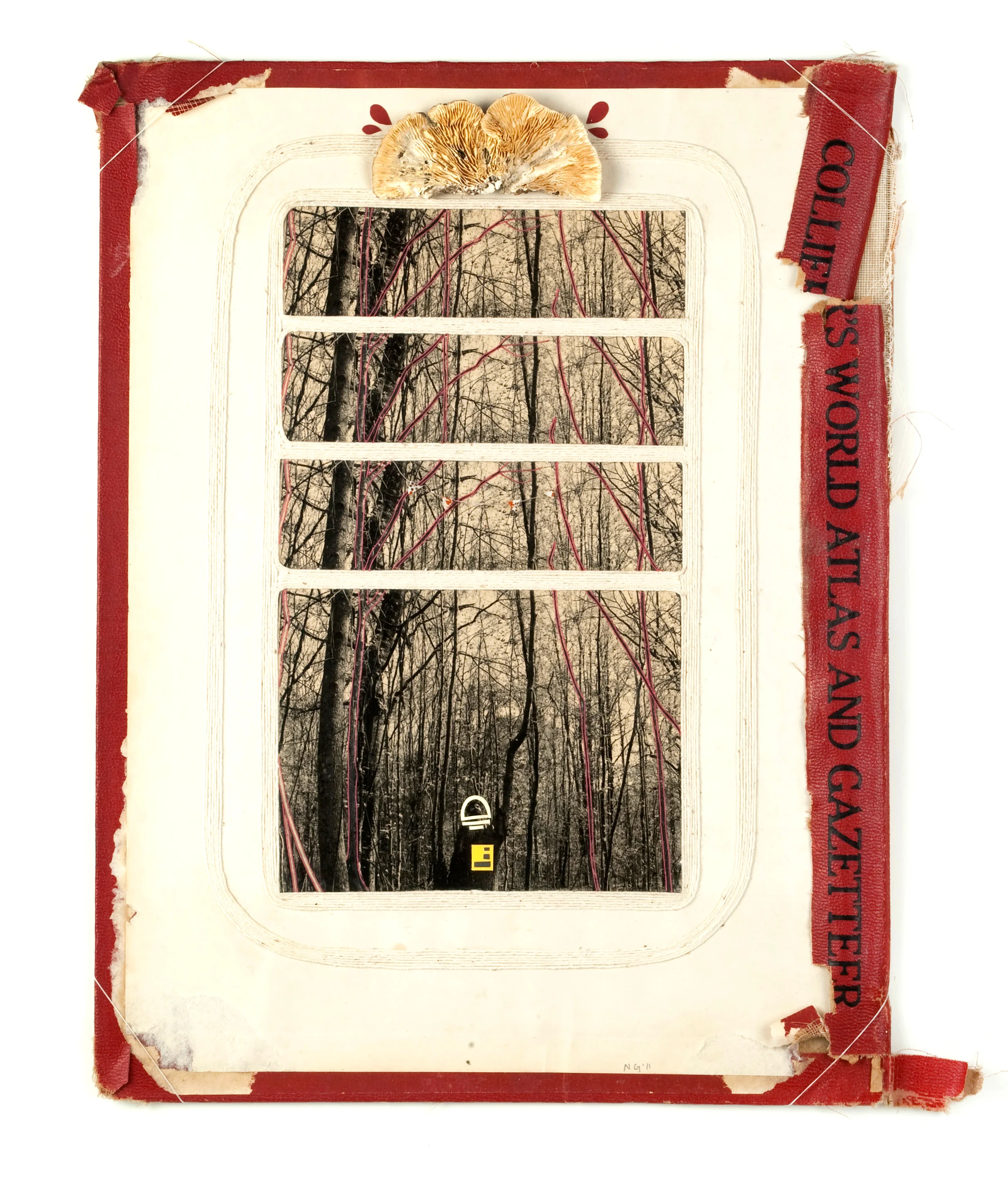 Cosmonaut, 2011