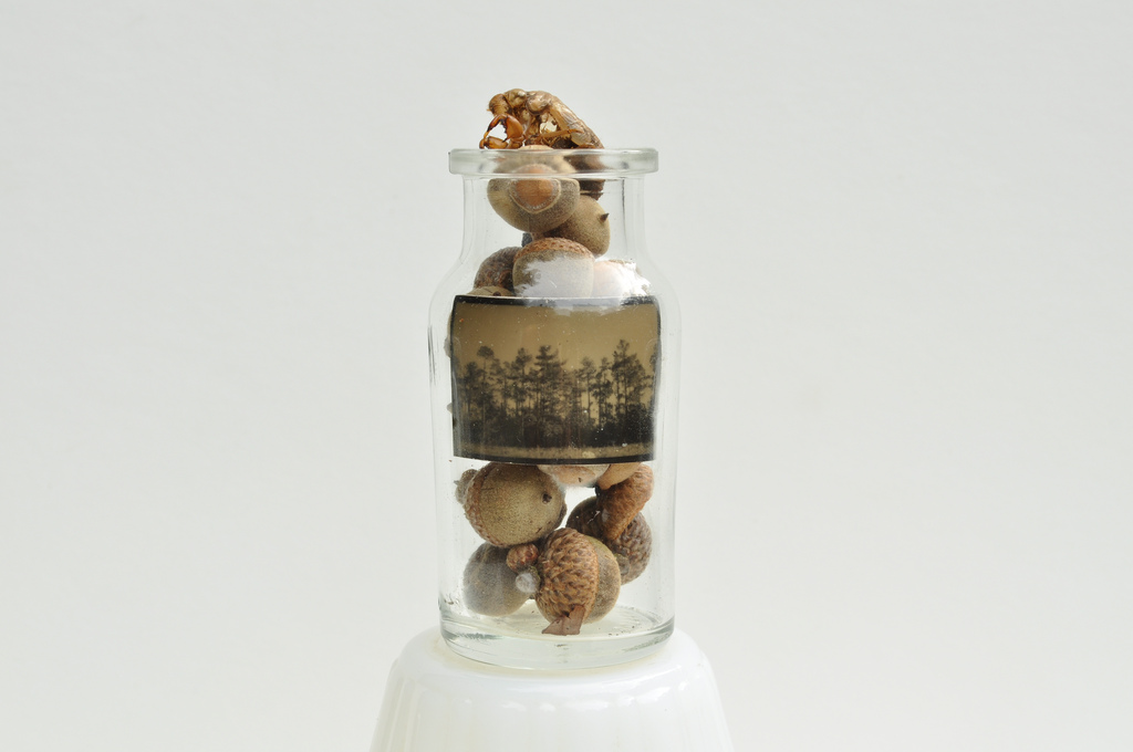 miniature2.jpg