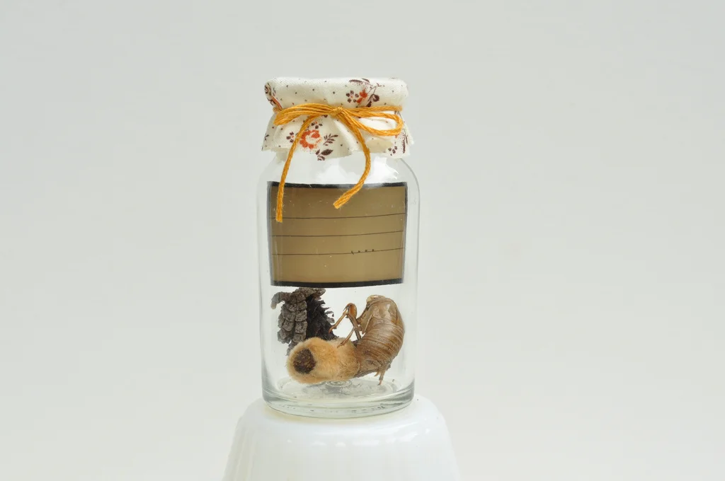 miniature8.jpg