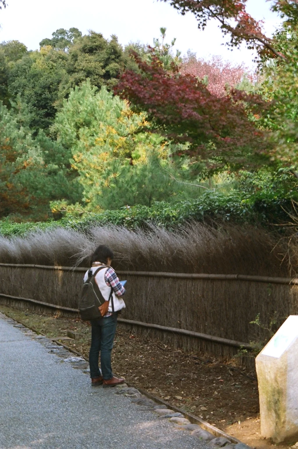 KYOTOARASHIYAMA3.jpg