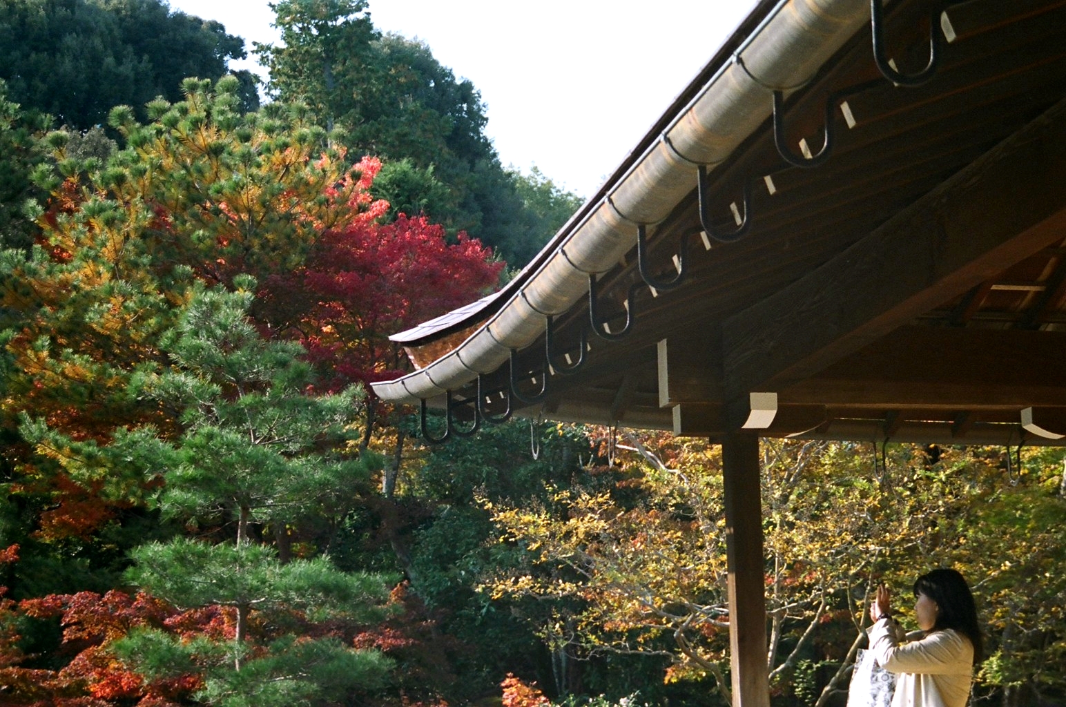 KYOTOARASHIYAMA4.jpg