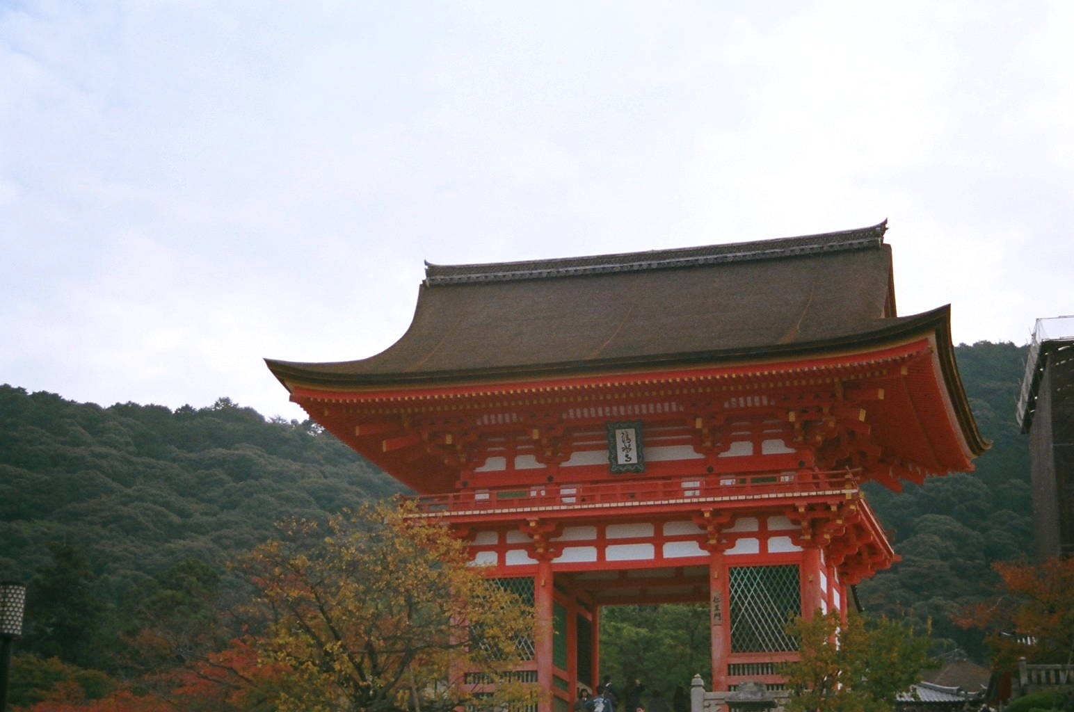 KYOTOARASHIYAMA12.jpg