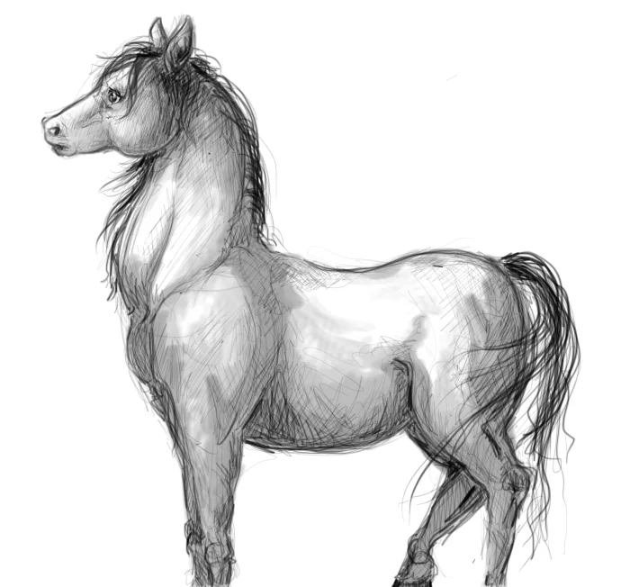 HorseSketch.jpg