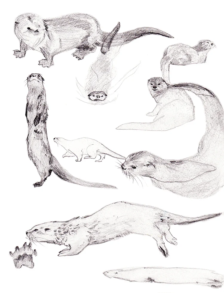 Animals_Process_0017.jpg