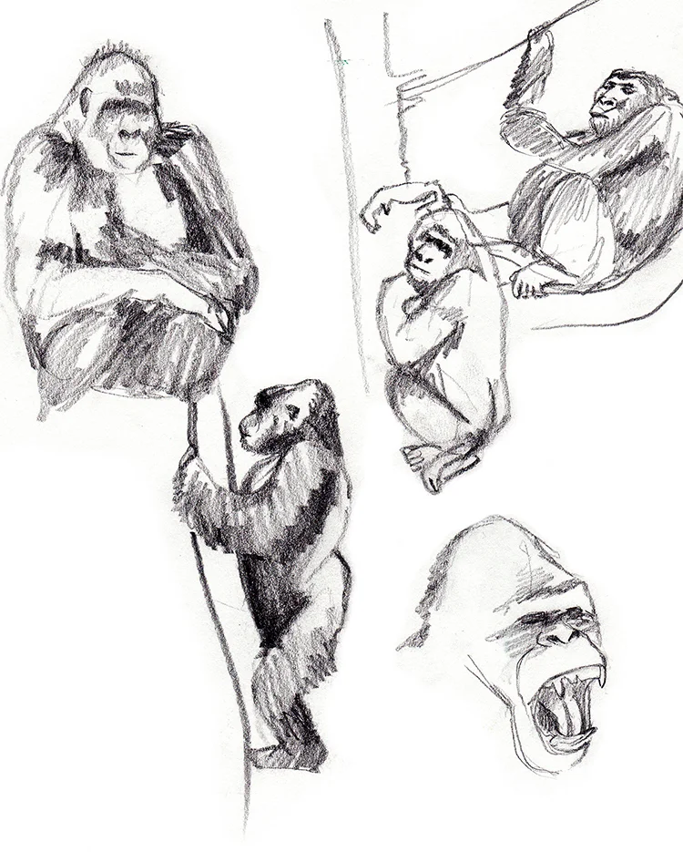 Animals_Process_0024.jpg