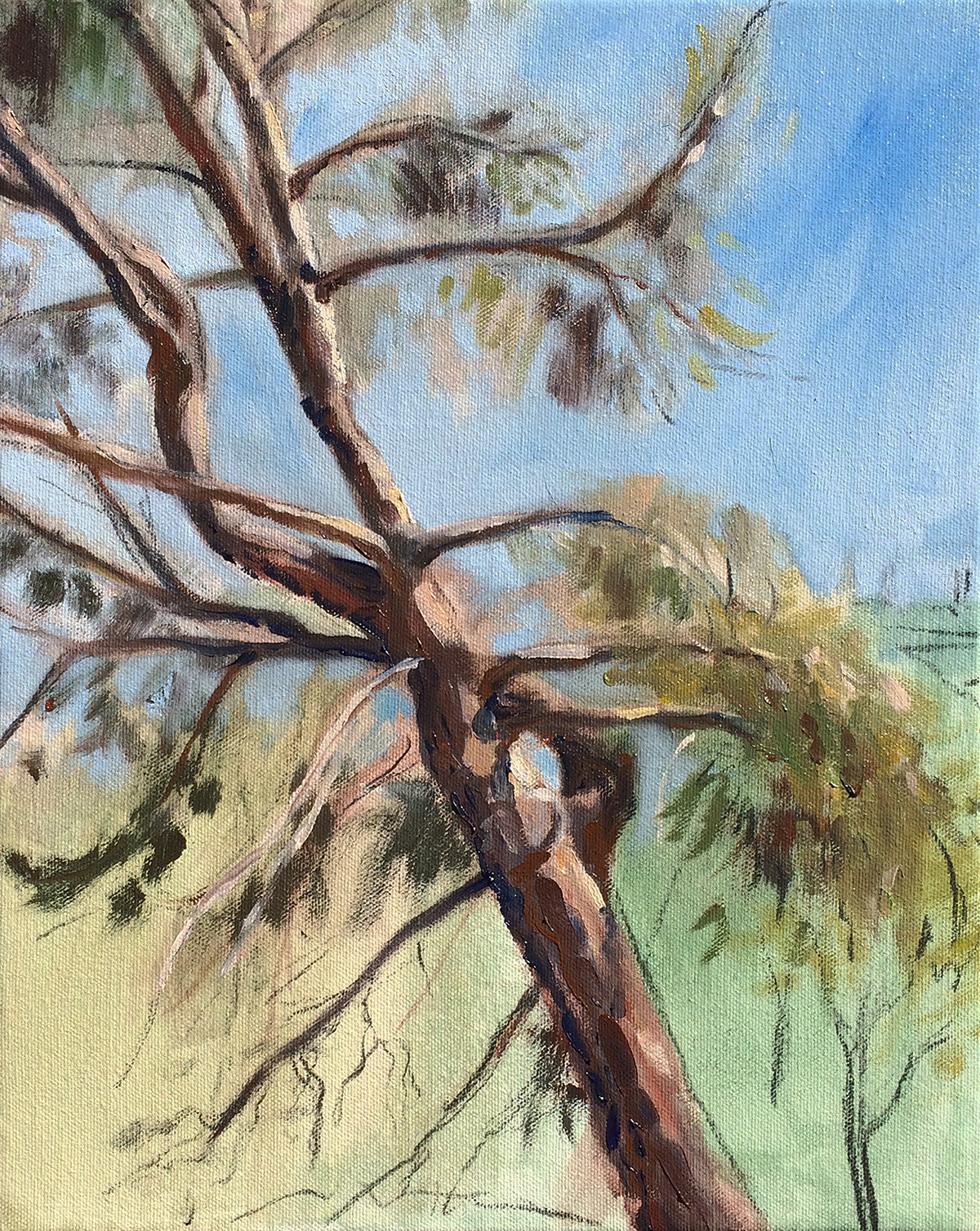 SketchyTree.png