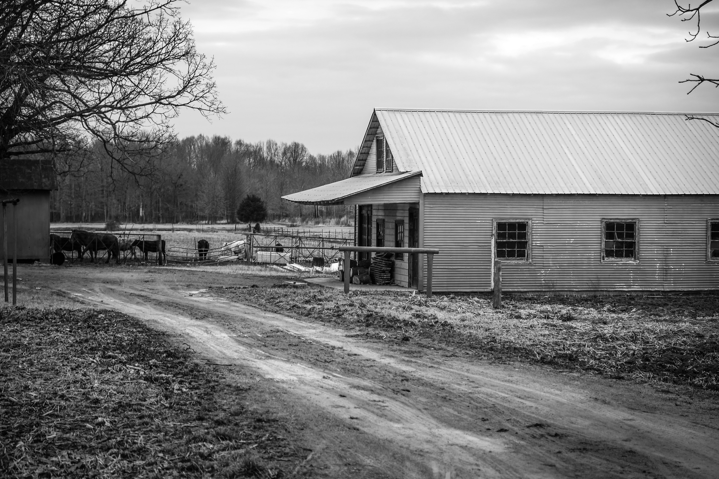 Amish Home BW 5 (1 of 1).jpg