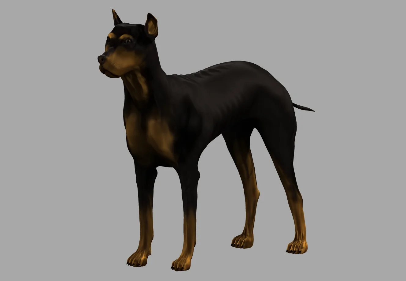 Der Hund