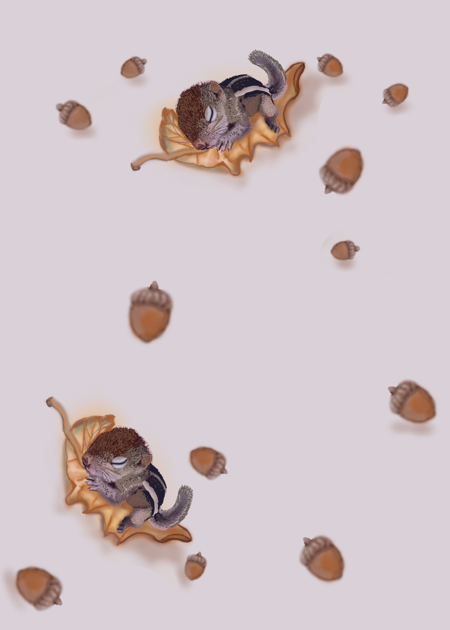 Lab BabySquirrel.jpg