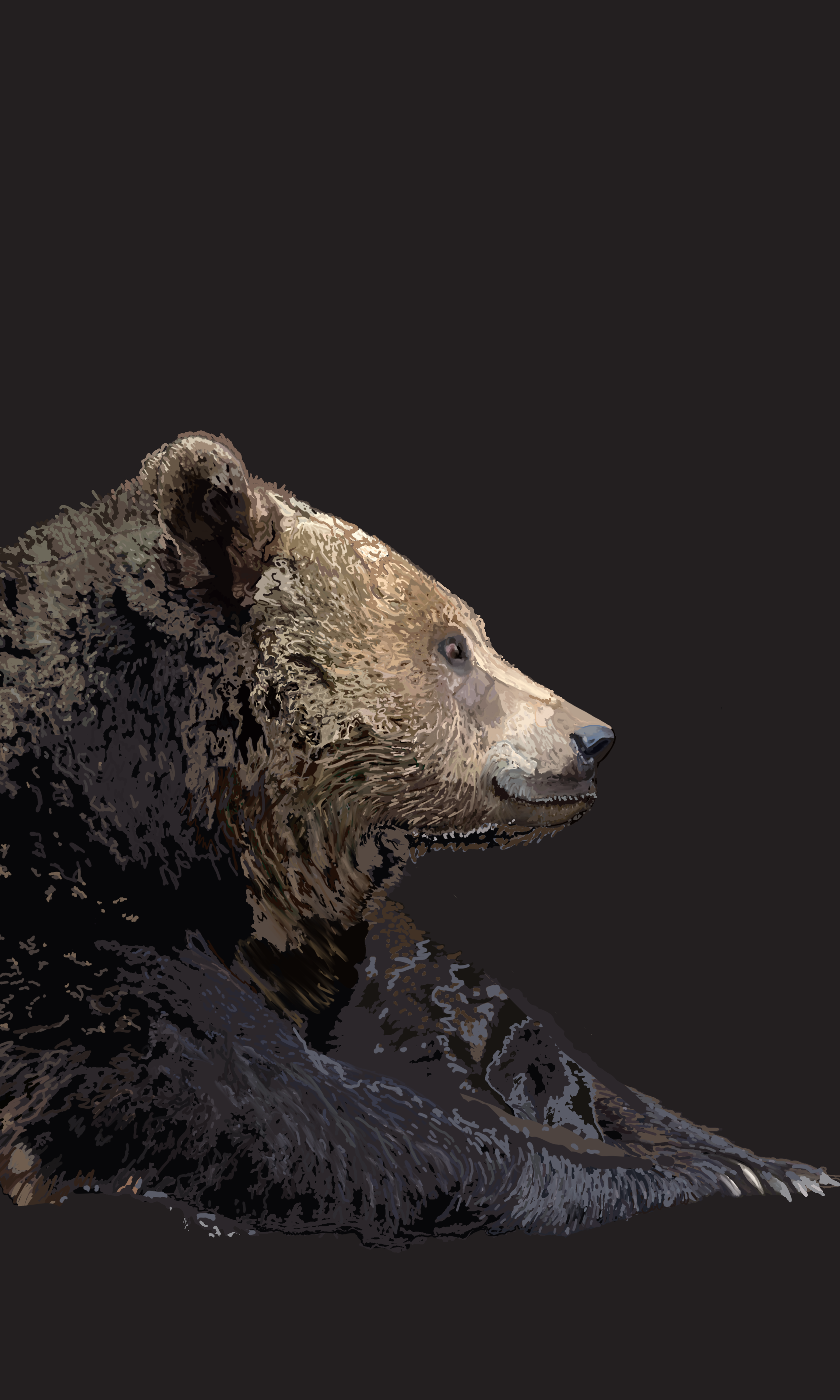 BearMaleOnBlackLargePrints_36x60.png