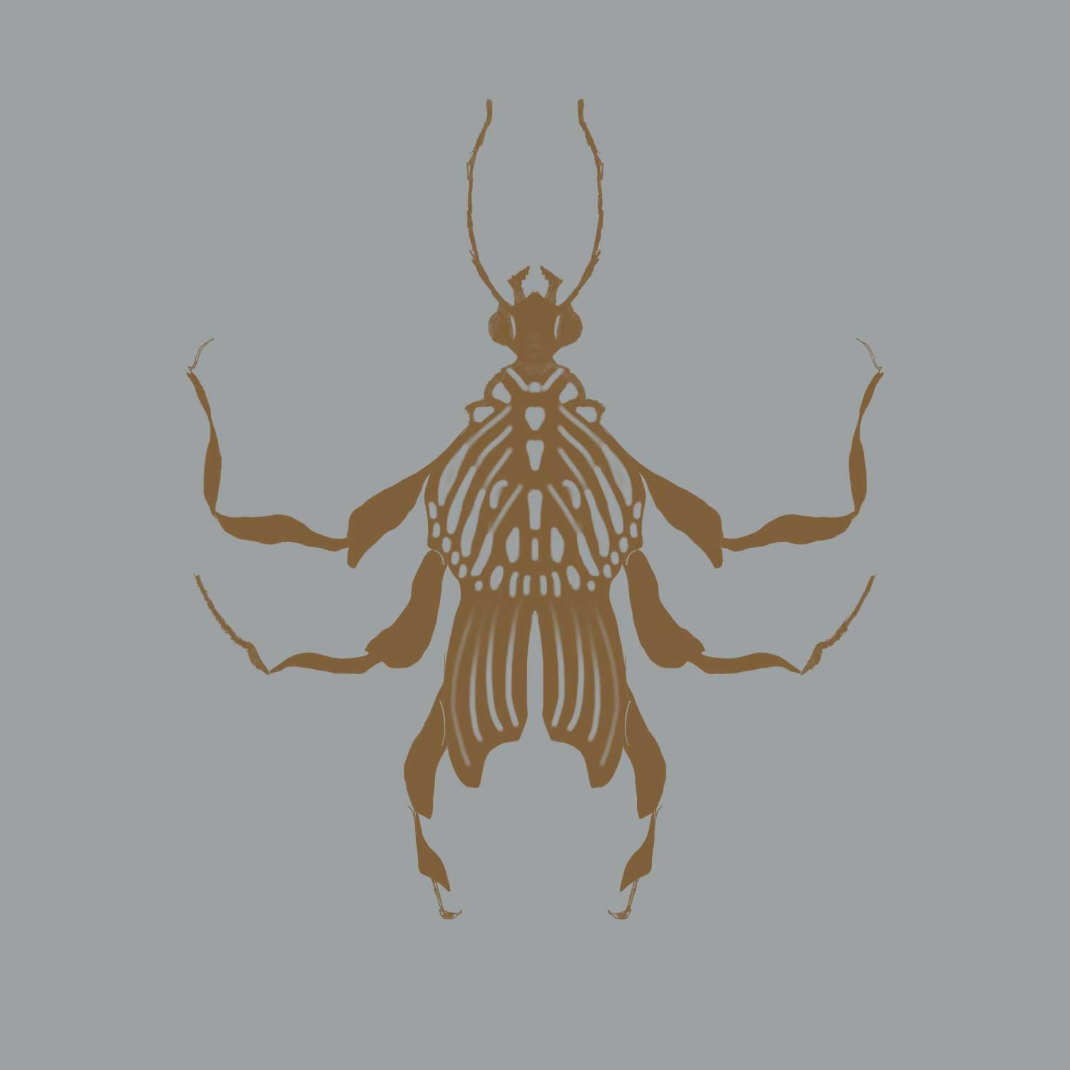 Beetle-Floral-7.jpg