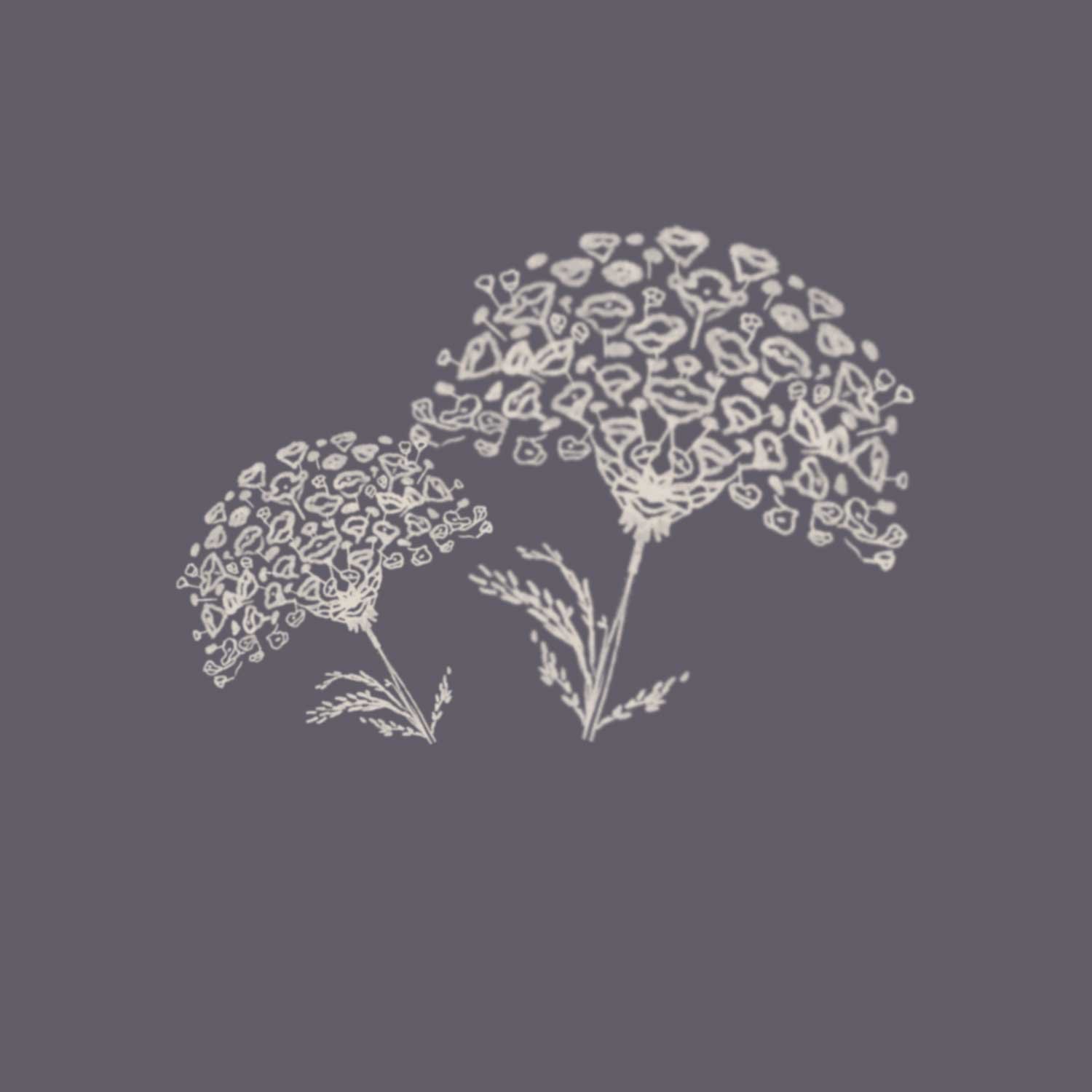 Beetle_Floral-4.jpg