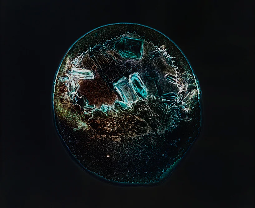 drugs-under-the-microscope-designboom04.jpg
