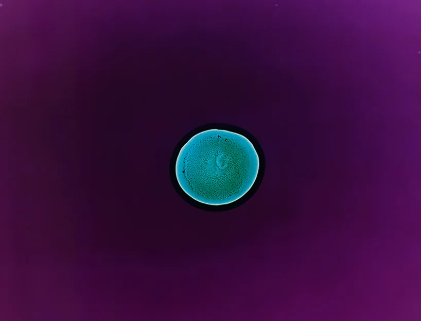 drugs-under-the-microscope-designboom06.jpg