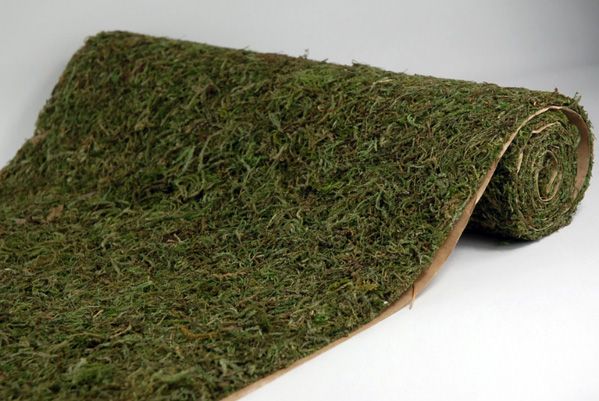 moss aisle runner.jpg