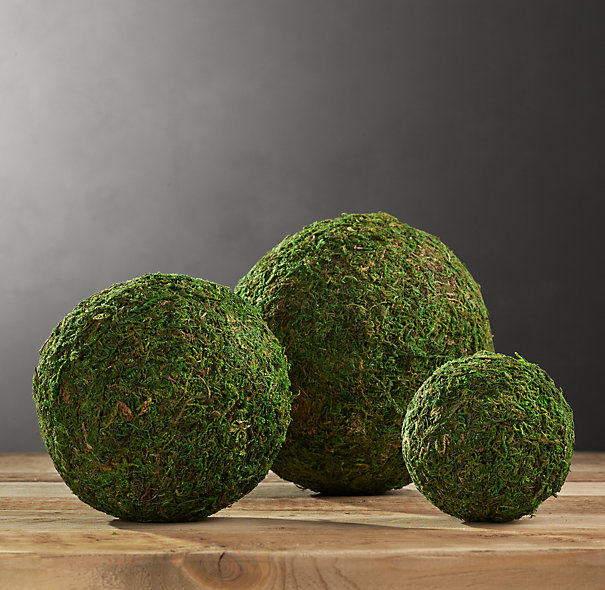 Moss Balls.jpg