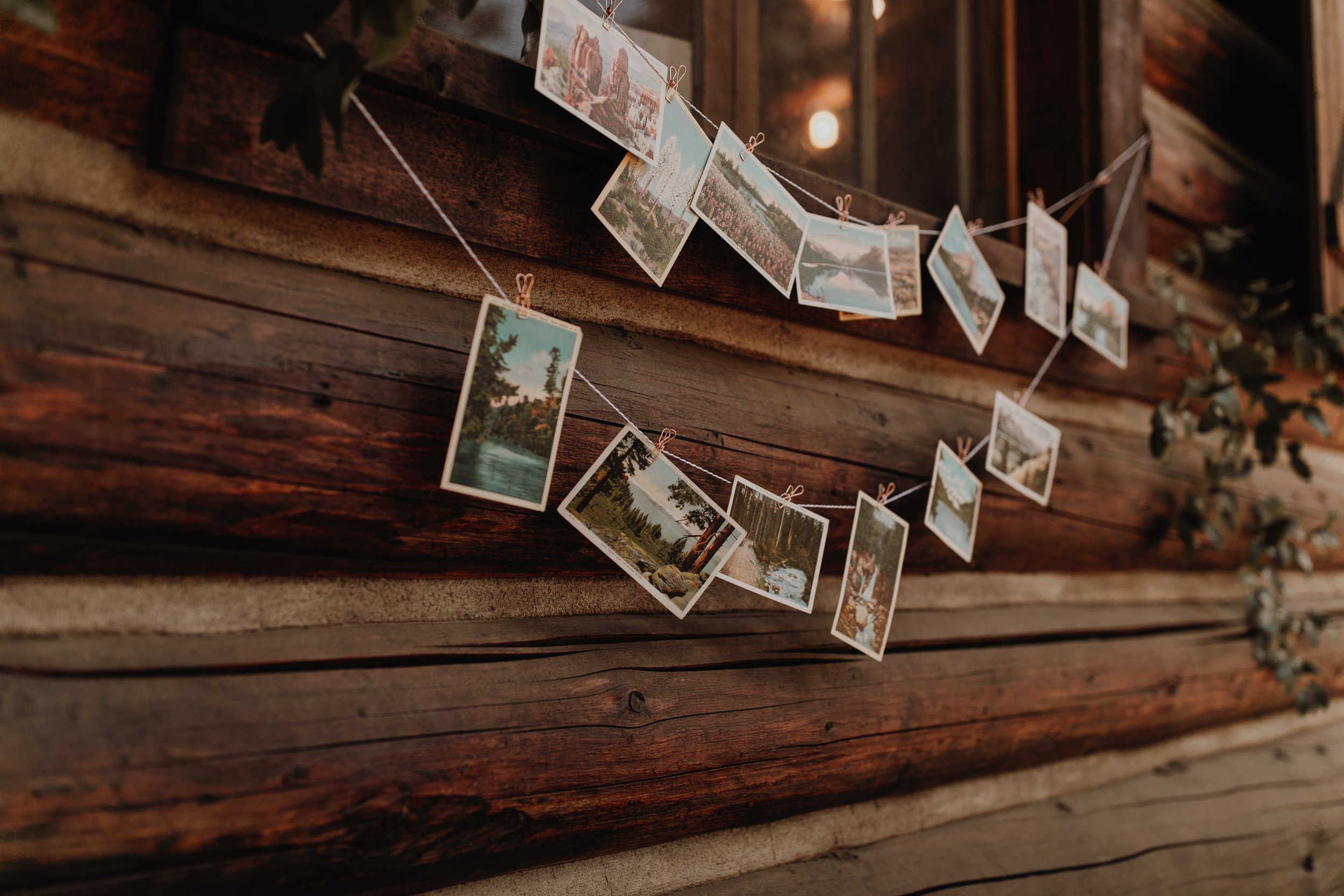 olivia_strohm_photography_tori__-5.jpg
