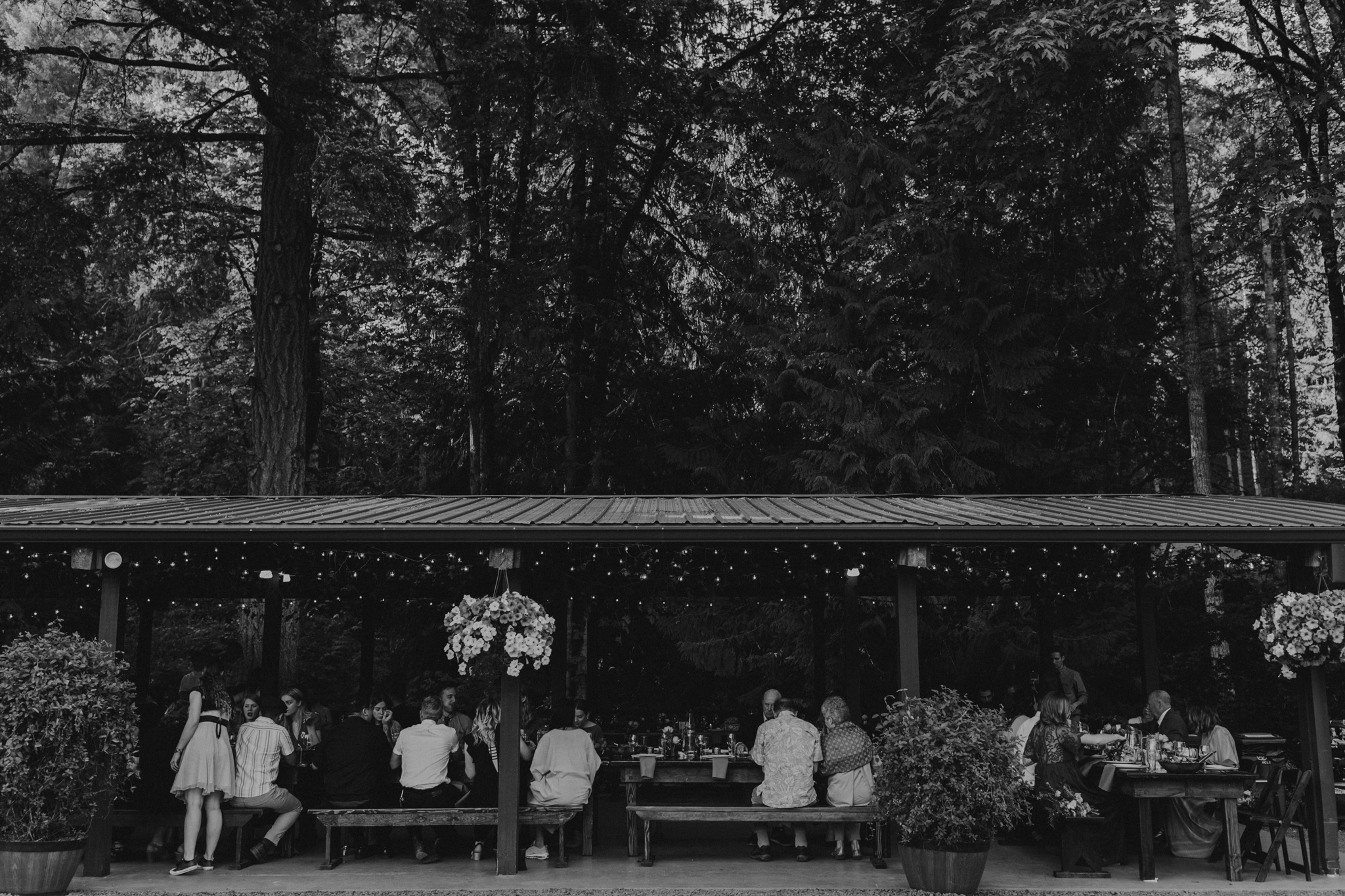 hornings_hideout_wedding_oliviastrohmphotography-145.jpg