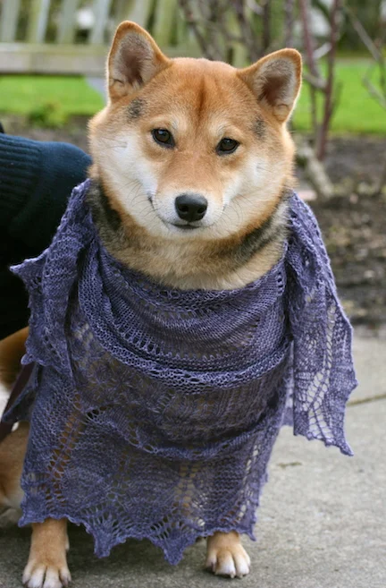 Emiko's first modeling job!