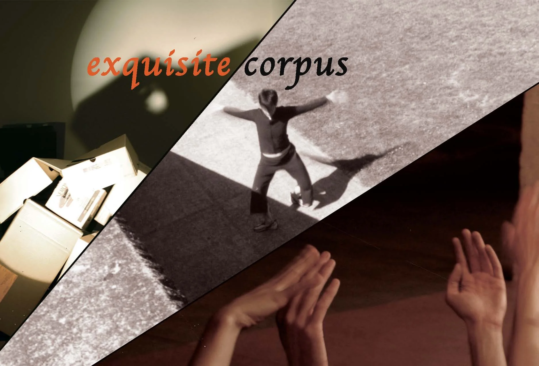 Exquisite Corpus