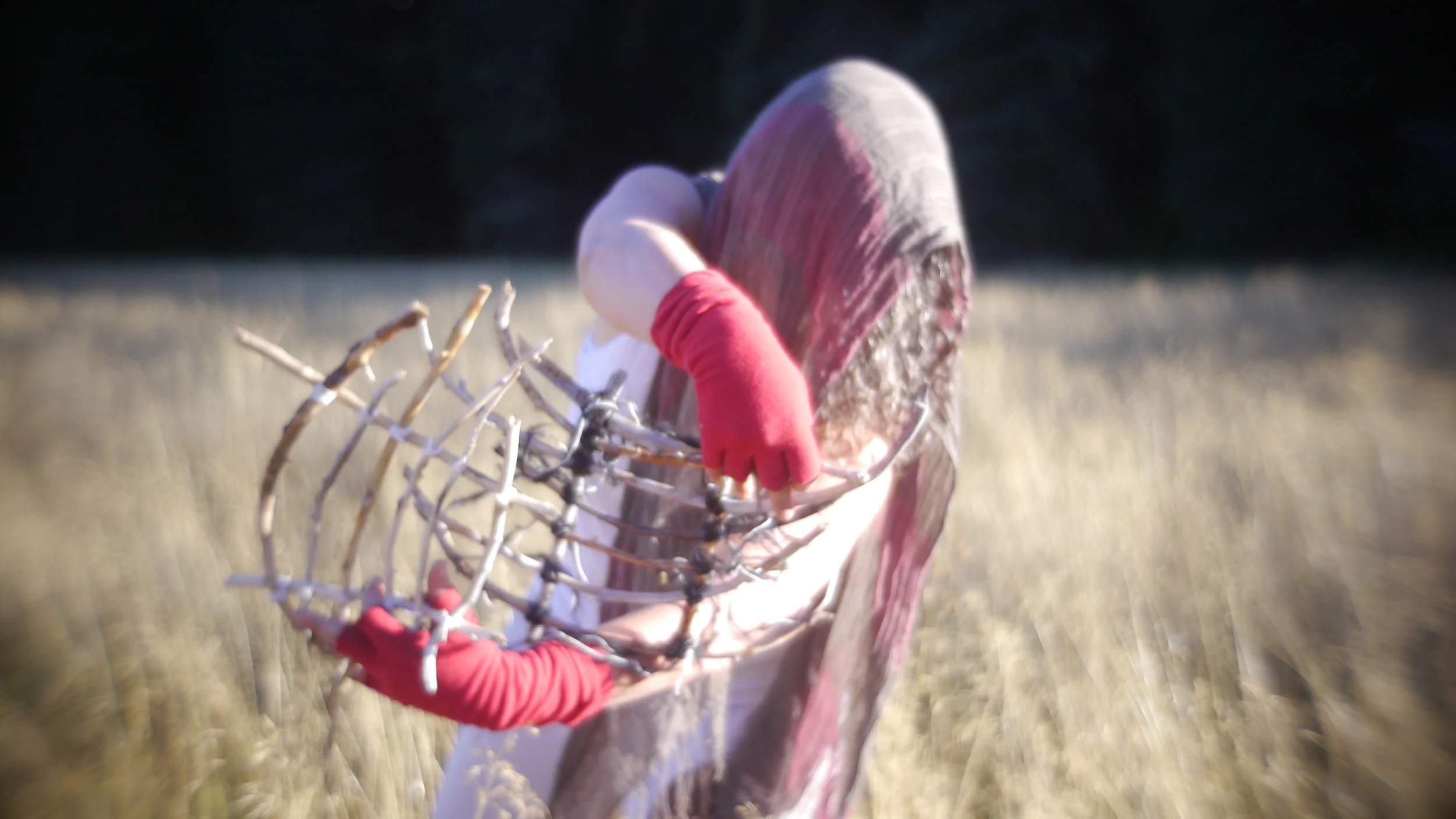 Tracy Broyles: Developing the Compassionate objective observer self