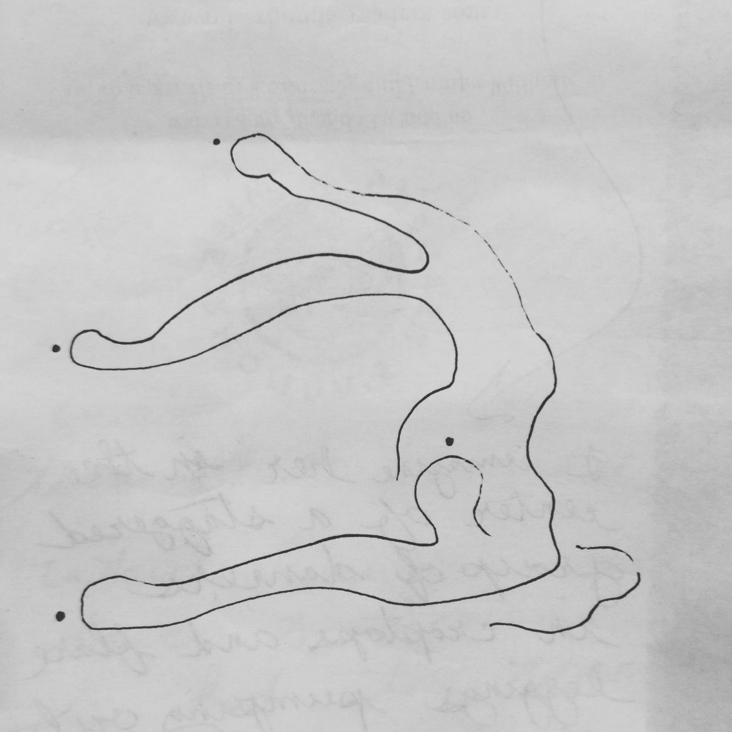 Wilding Walk with Dora Gaskill